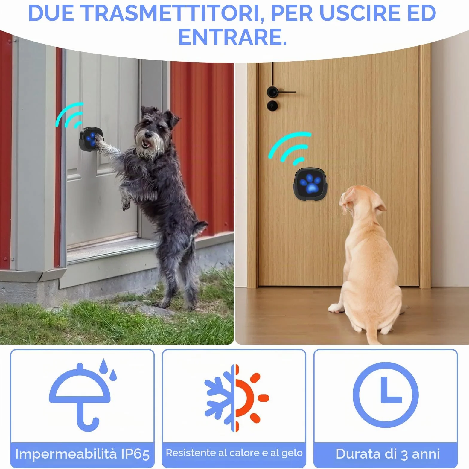 Campanello per Cani Whimsii, Campanello Wireless per Uscire, Pulsanti Impermeabili IP55, 55 Melodie, 4 Livelli di Volume e Portata di 950 Piedi (Nero, 1 Ricevitore, 2 trasmettitori)