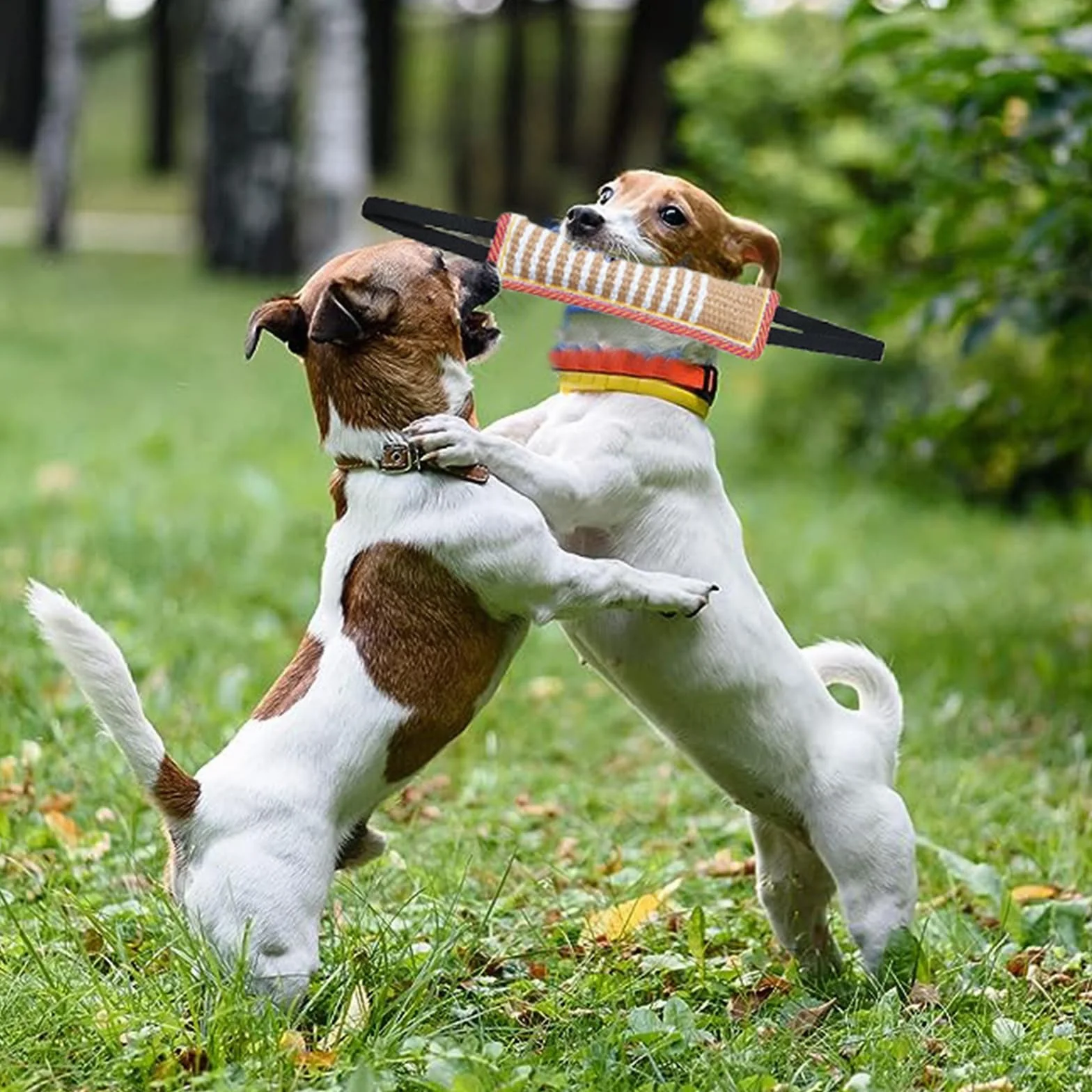 Manicotto in Juta per Cani con 2 Maniglie - Giocattolo per Addestramento e Gioco Interattivo - Dummy Tug of War per Cane di Taglia Medio-Grande - 2 Pezzi
