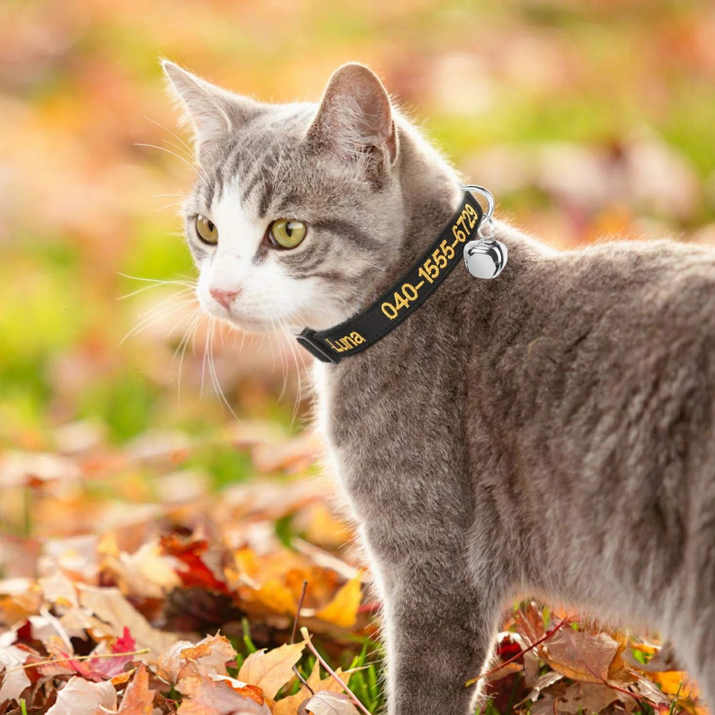 Collare personalizzato per gatti Breakaway personalizzato con campana, fibbia a scatto di sicurezza, nome identificativo ricamato sul colletto per gattini 26,5-29,5cm Adjustable multicolore