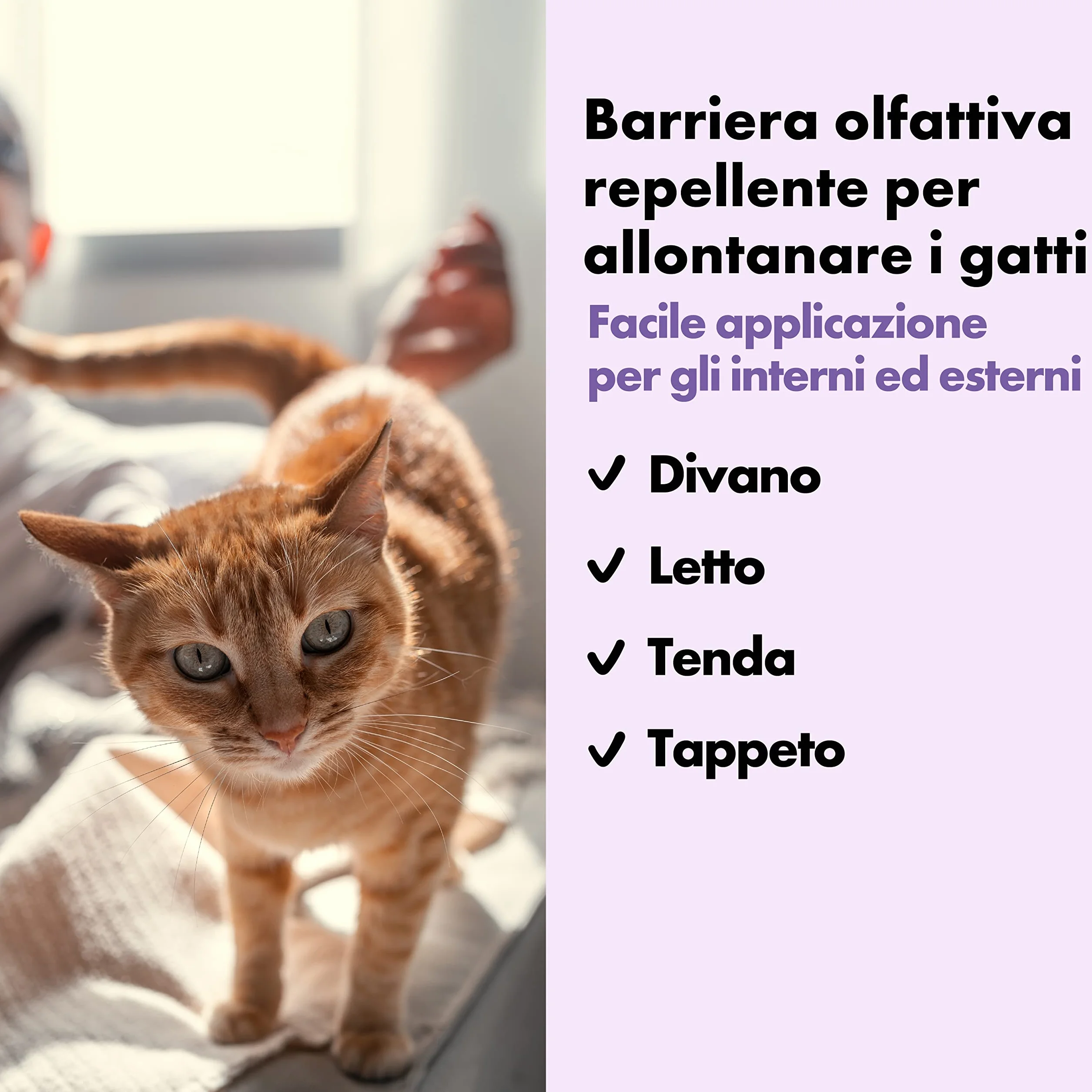 Catly Spray Repellente per Gatti da Esterno - Disabituante Gatti con Oli Essenziali - Spray Anti Gatto per Divano Anti Graffi - Dissuasore per Gatti, Alternativa Naturale a Ultrasuoni per Gatti, 250ml