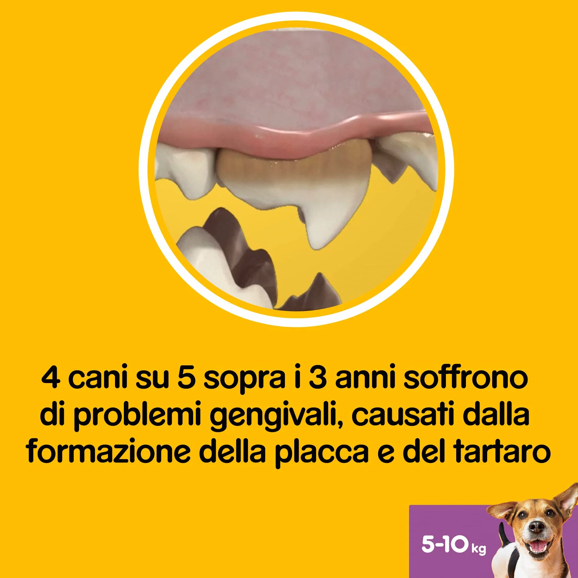 Pedigree Dentastix Fresh 112 Snack per la Igiene Orale (Cane Piccolo 5-10 kg) 440 g 28 Pezzi - 4 Confezioni da 28 Pezzi (112 Pezzi totali)