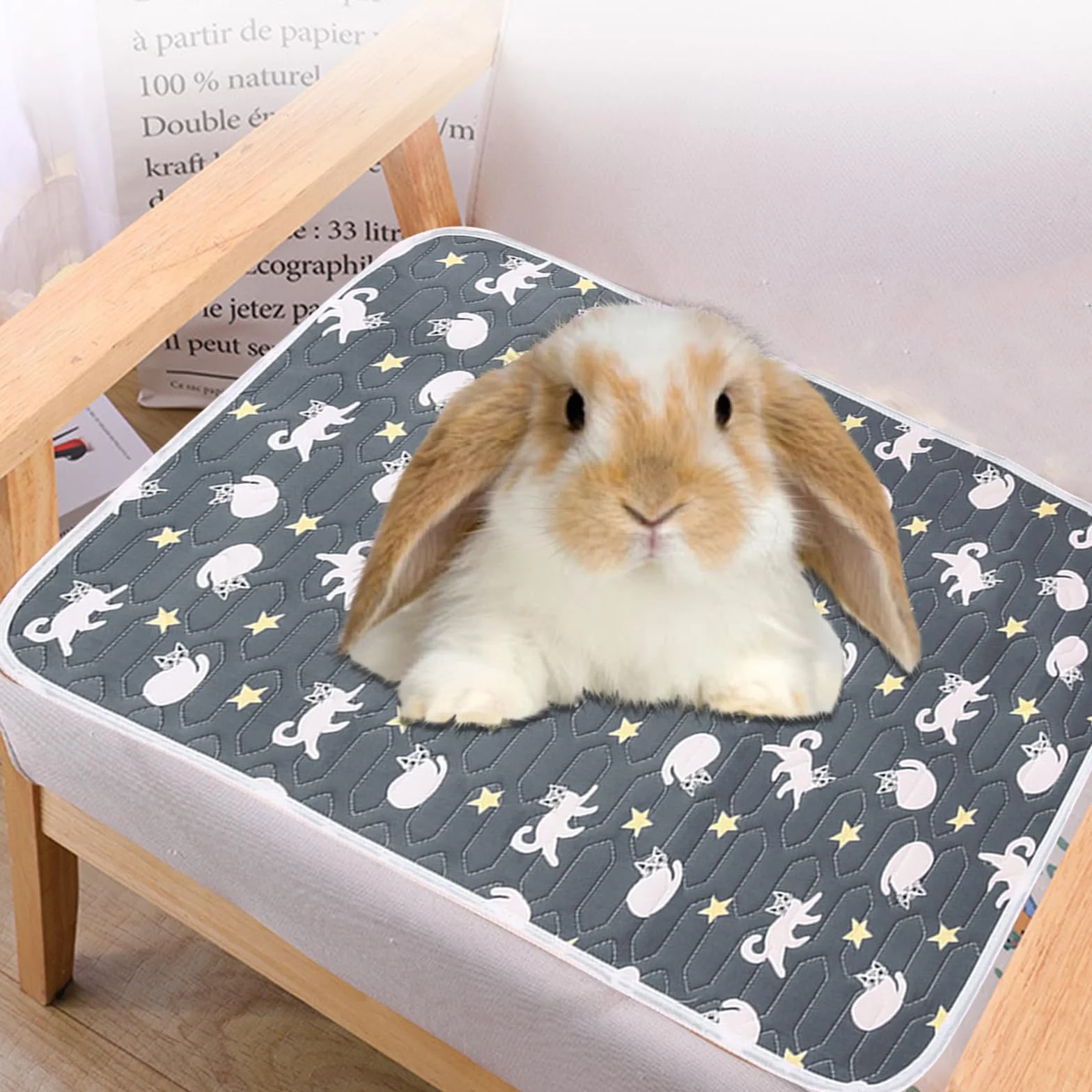 2Pcs Tappetino Refrigerante per Coniglio, 40x30cm Tappeto Refrigerante per Coniglio, Tappetino Rinfrescante per Conigli, Cincillà, Criceto Porcellino d'India e Altri Piccoli Animali Domestici