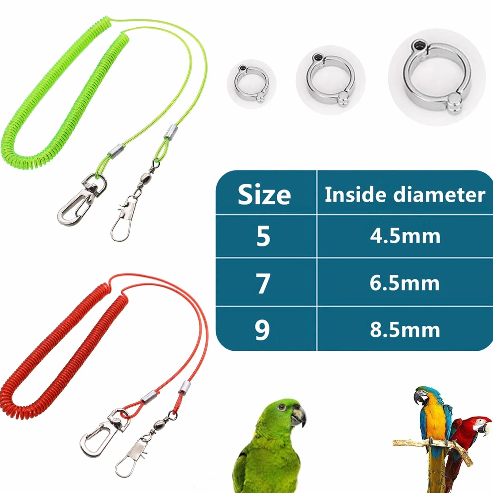 Corda Volante per Pappagallo,Guinzaglio per Uccelli,Catena da 5 m per Piede di Pappagallo,Corda Per Addestramento Al Volo per Uccelli,(2 Pezzi) (verde e rosso)