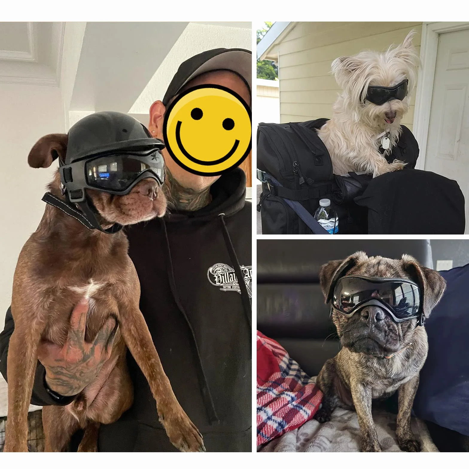 NAMSAN Occhiali anti UV per cani con casco per animali domestici, antivento, per cani di taglia piccola/media