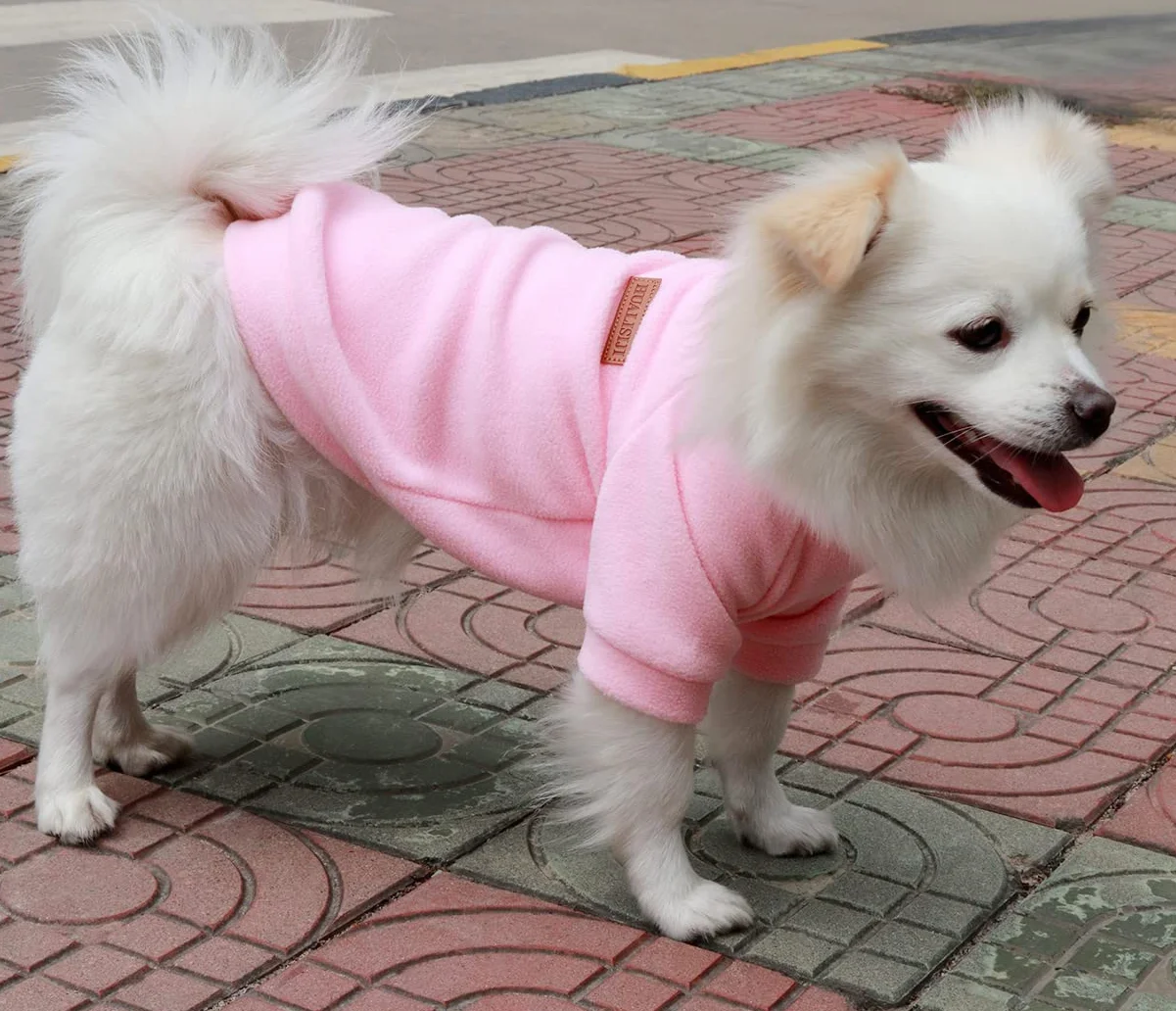 Felpa Cane Piccola Taglia Maglioncino Chihuahua Morbida Elastica Facile da Indossare Colori Vivaci (M, Rosa)