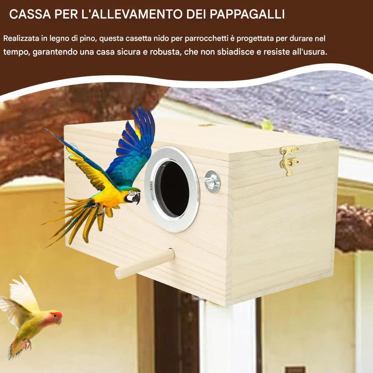 Cassetta per nidificazione in legno per parrocchetti - per piccioncini, pappagallini, pappagalli