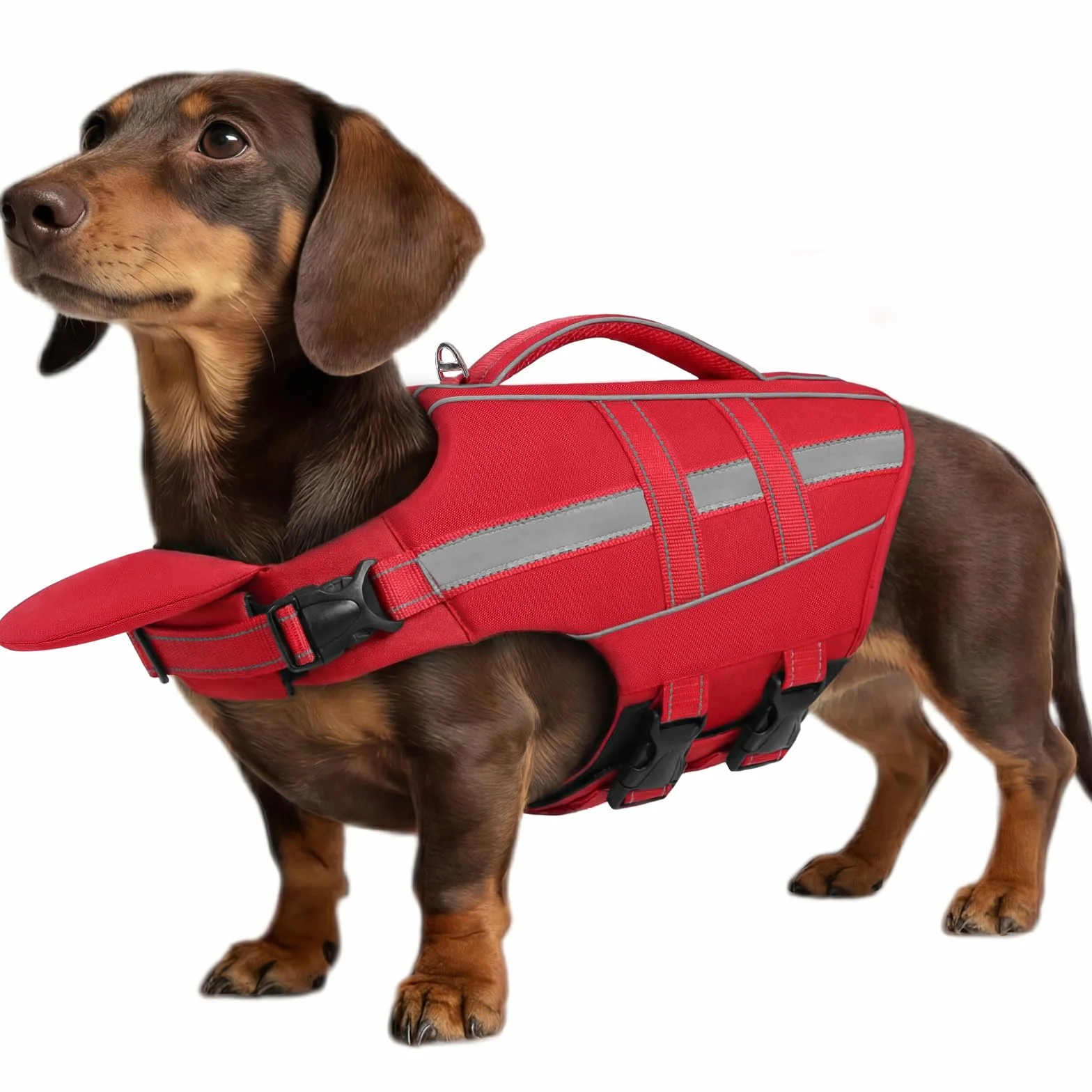 ASENKU Salvagente per Cani - Giubbotto Salvataggio Cane Taglia Piccola Media Grande, Gilet Galleggiante Sicurezza con Maniglia e Anelli D,per Nuoto Piscina Spiaggia Barca XS