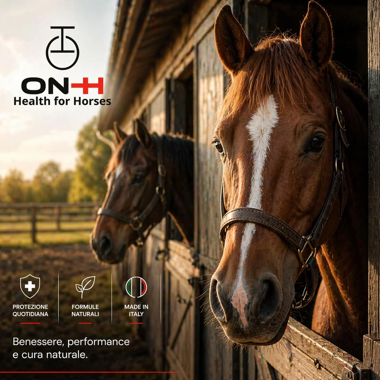 ON-H Hoof Empower 500 ml | Igienizzante e Rinforzante per Zoccoli Cavalli | Protegge da Umidità e Impurità - Favorisce Struttura Forte e Sana | Ideale per Uso Quotidiano in Scuderia