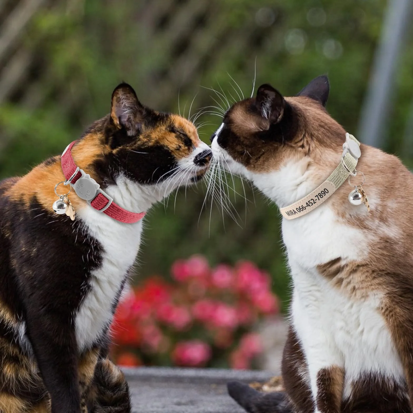 Collare per gatti personalizzato con stampa UV nome e numero di telefono – Collare regolabile per animali domestici con campana