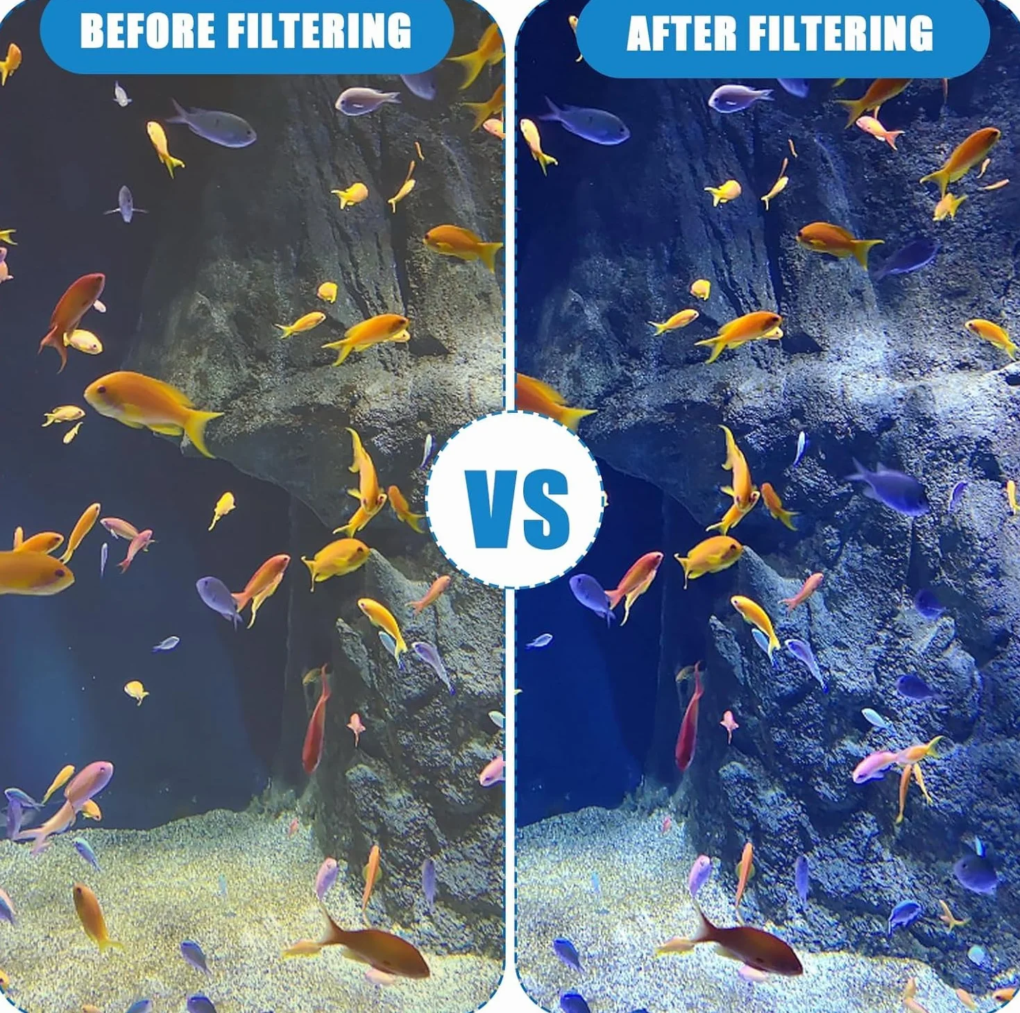 Spugna filtrante per Acquario, Tampone Filtro Spugna, 2 M Tamponi Filtranti per Acquario Addensata Schiuma Filtrante, Filtro Spugna Schiuma, Acquario Filtro Spugna