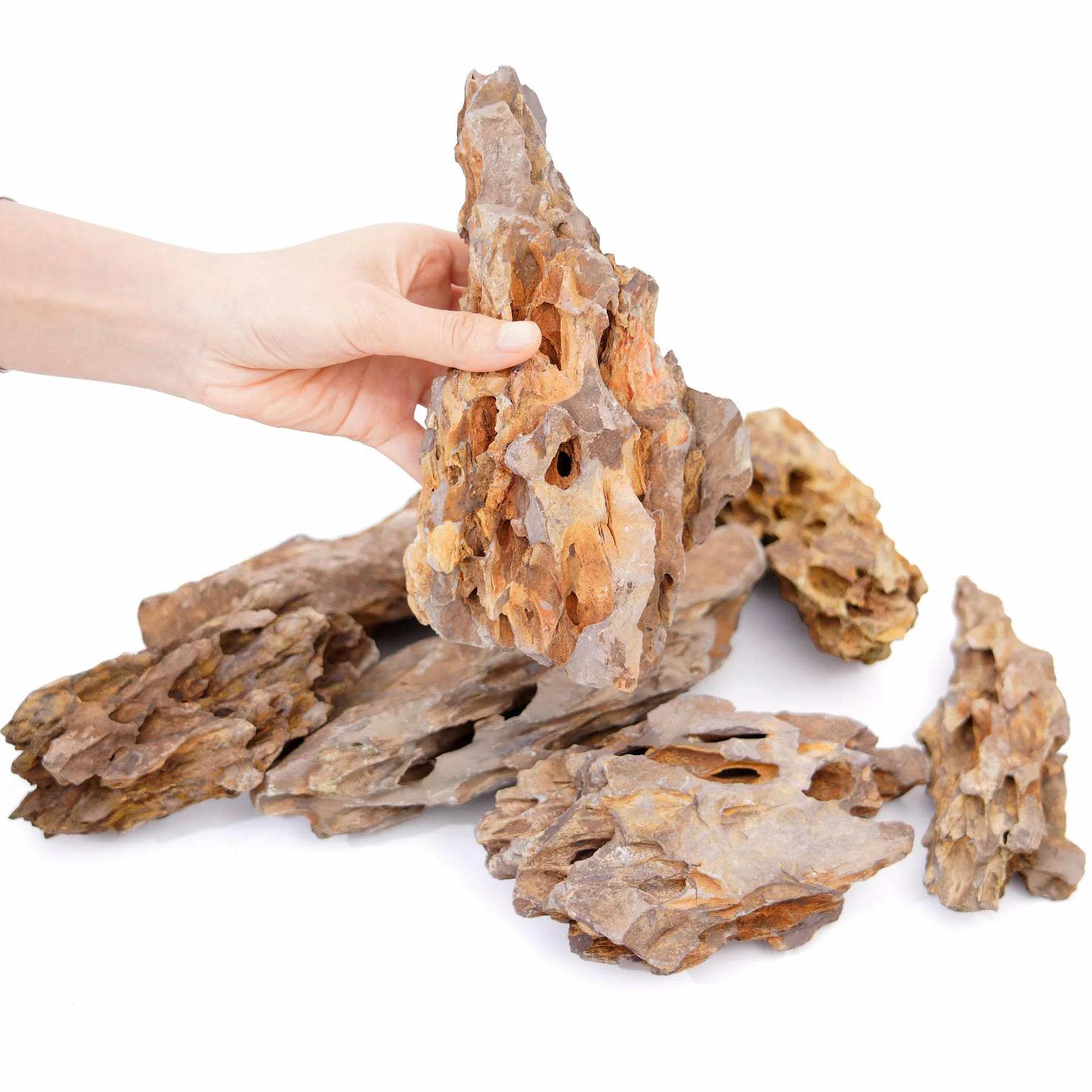 Pietra Naturale del Drago da 15,5 a 20,3 cm, 6 Pezzi per Acquario, paesaggistica, terrari, Decorazione per acquari, vivari, paludari, rettili e Anfibi