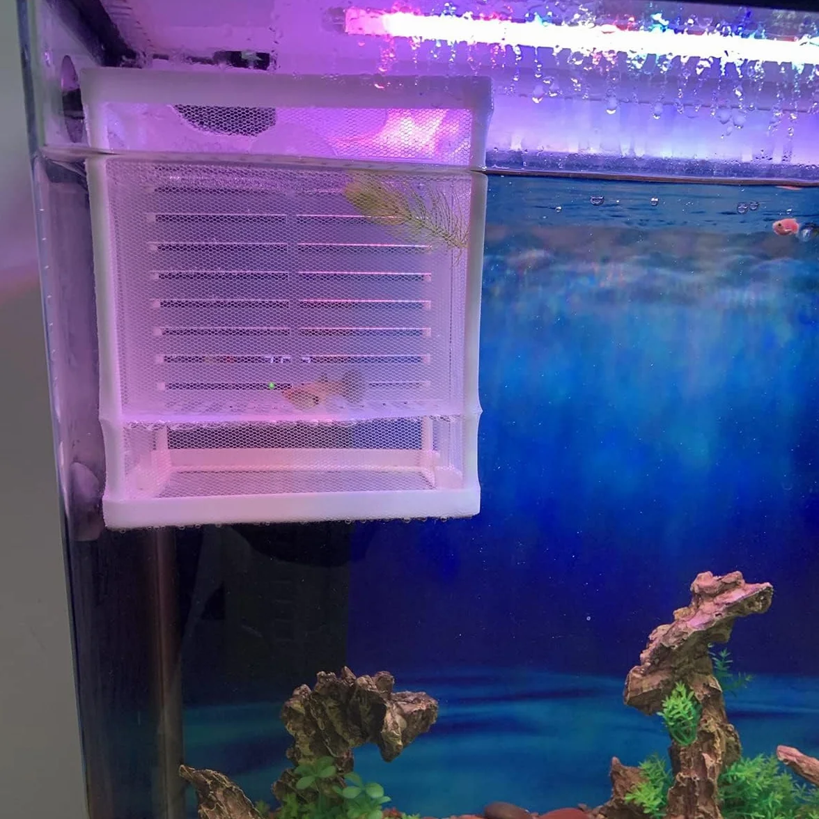 Scatola Di Allevamento Di Pesci,Incubatore Di Pesce Scatola,Isolamento Allevatore Di Pesci,Acquario Serbatoio Da Incubazione,Maglia Per Acquario Con Ventosa,Vivaio Di Pesci Acquario Rete,Kiuiom