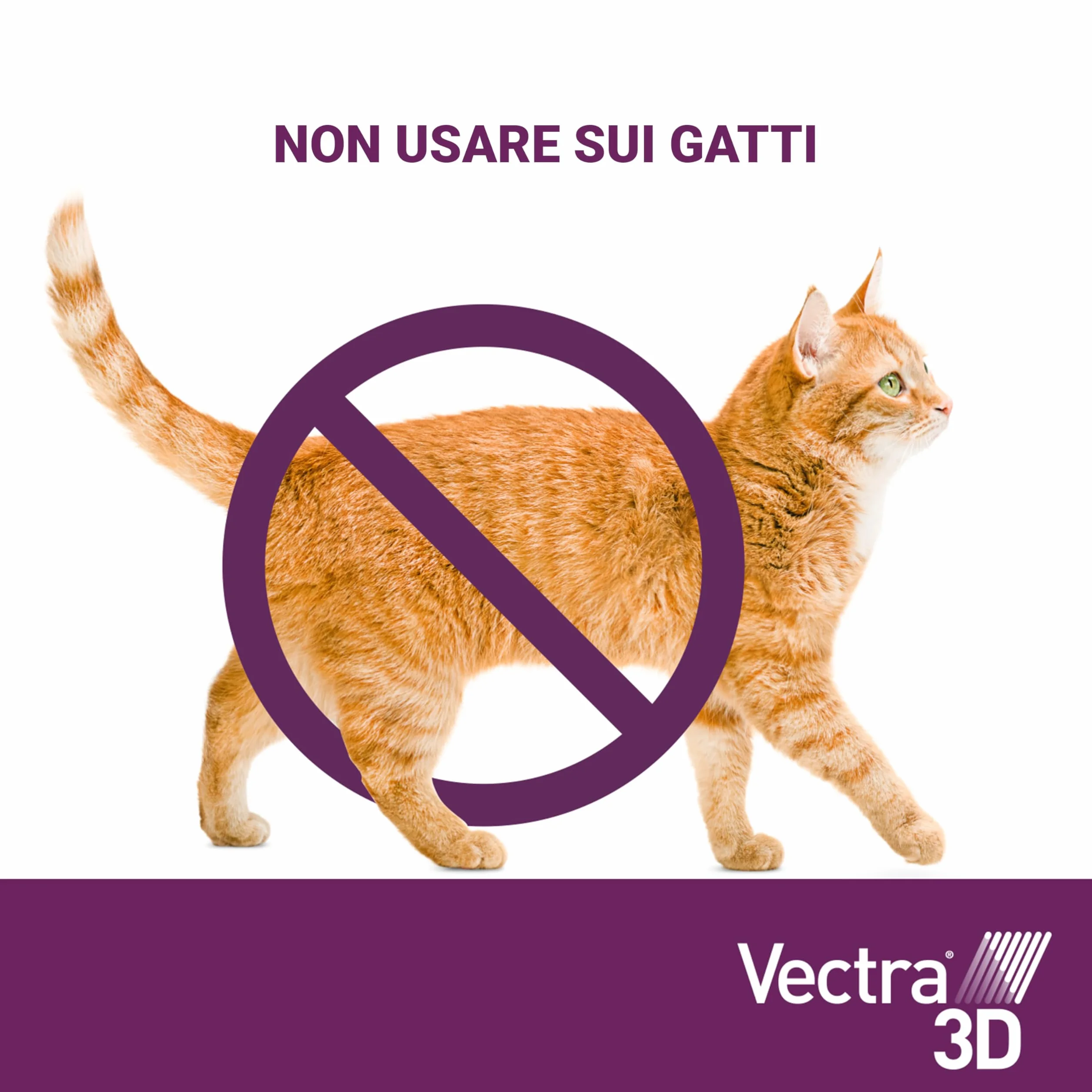 VECTRA 3D Antiparassitario per Cane 3 Pipette Antipulci Antizecche Antizanzare 4-10 kg
