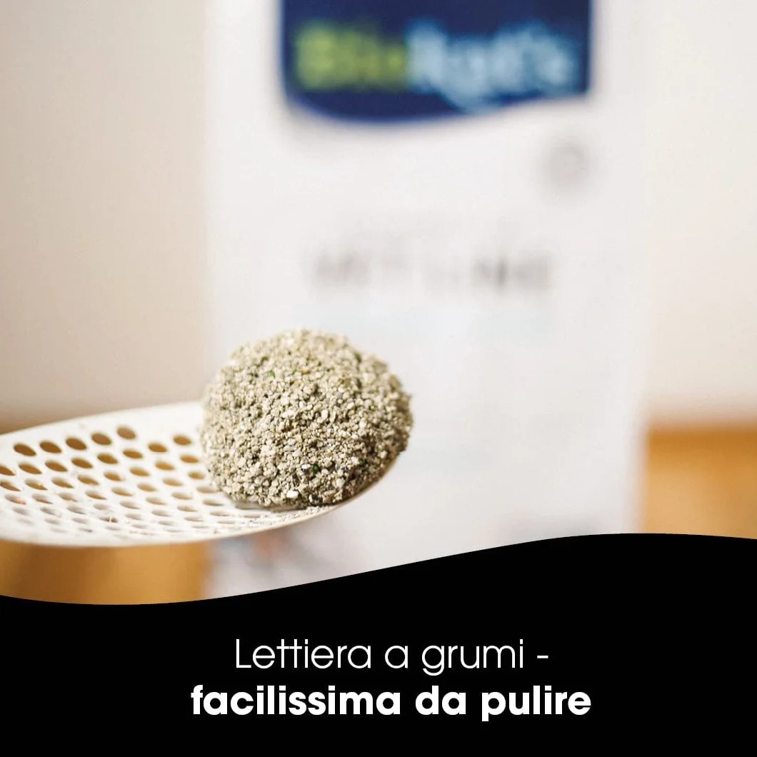 Biokat's Diamond Care Classic senza profumo, Lettiera per gatti a grana fine con carbone attivo e aloe vera, 1 Sacco, 1 x 10 L