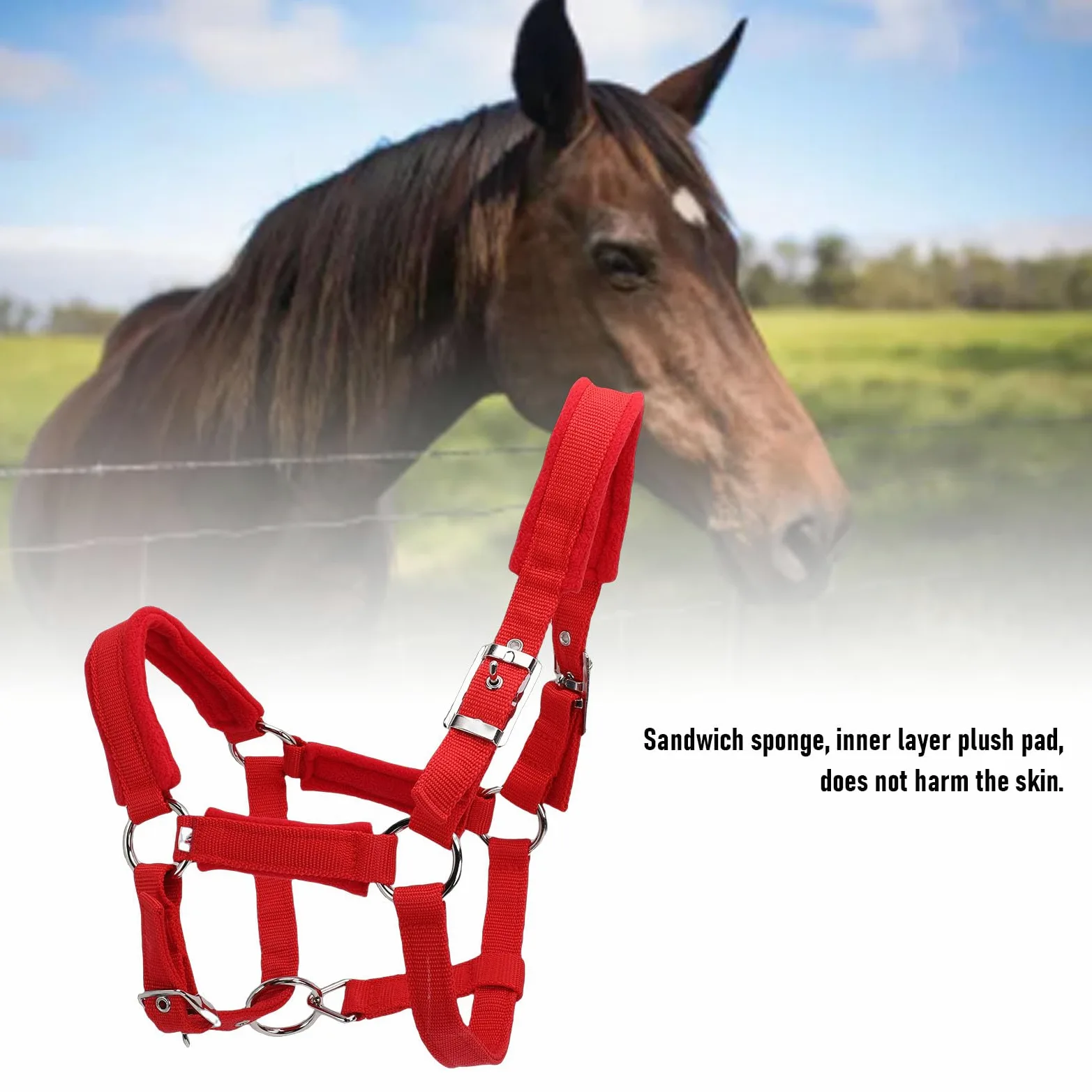 Cavezze per cavallo regolabili in nylon morbido e resistente, rosse, capezzale da equitazione con cinturino in nylon PP largo 25 mm con fibbia in metallo per cavallo medio, per