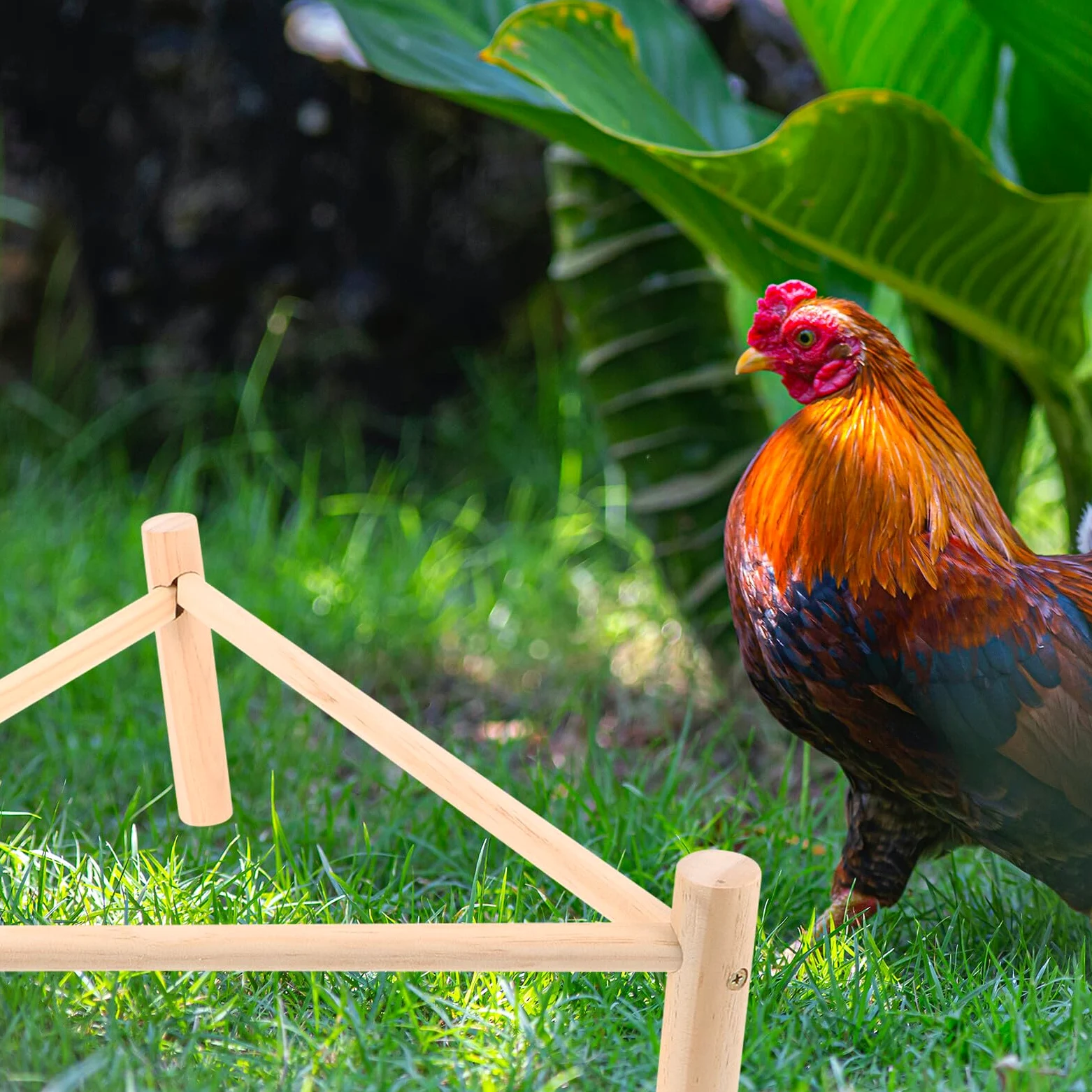 Hemobllo Posatoio in Legno per Galline e Uccelli Beige, Supporto Rialzato Multifunzione Pollaio, come Giocattolo e Riposo per Animali Domestici