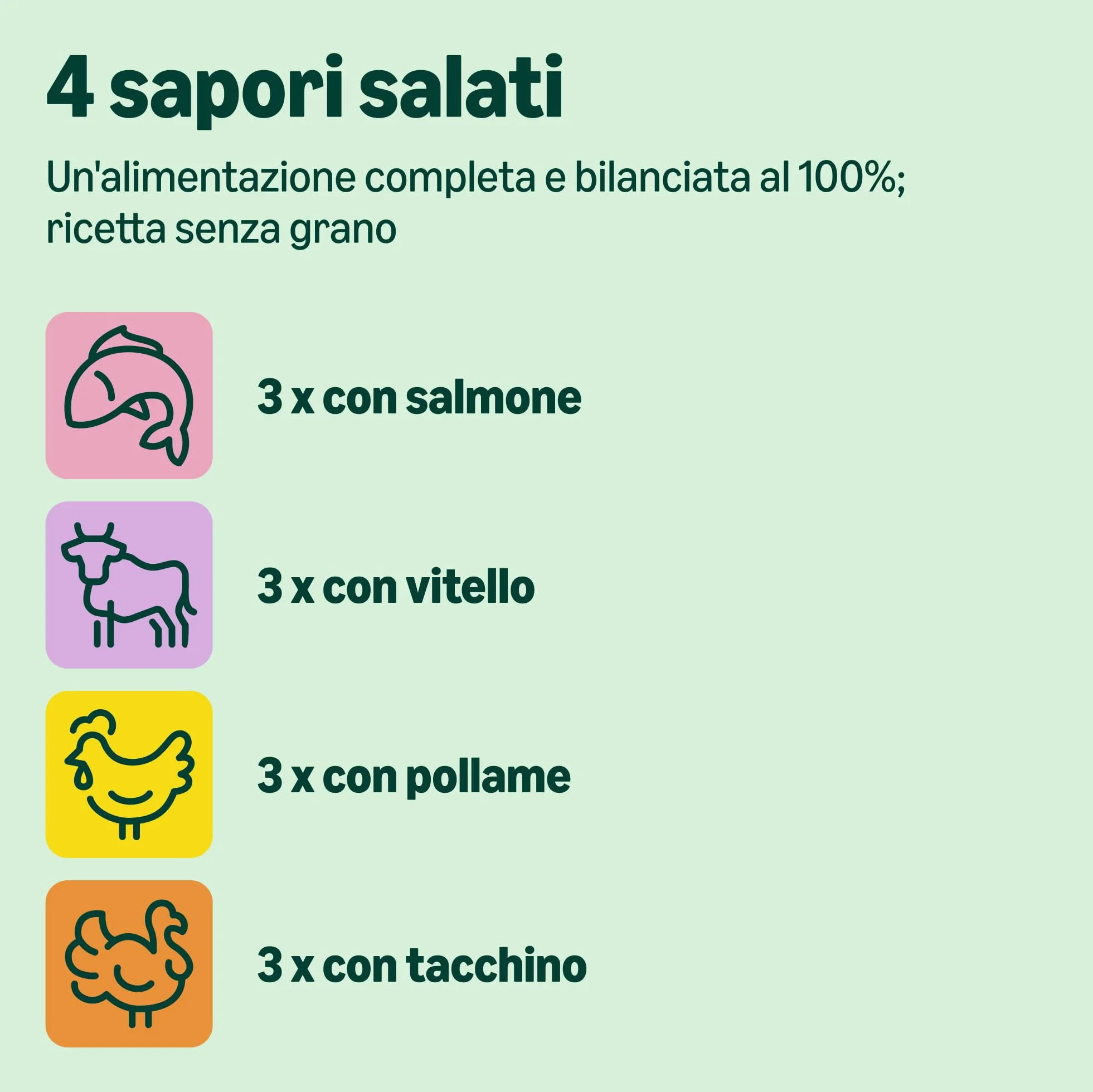 by Amazon Alimento completo per cuccioli di gatto, Selezione mista in gelatina, 1.2kg (12 sacchetti da 100g)
