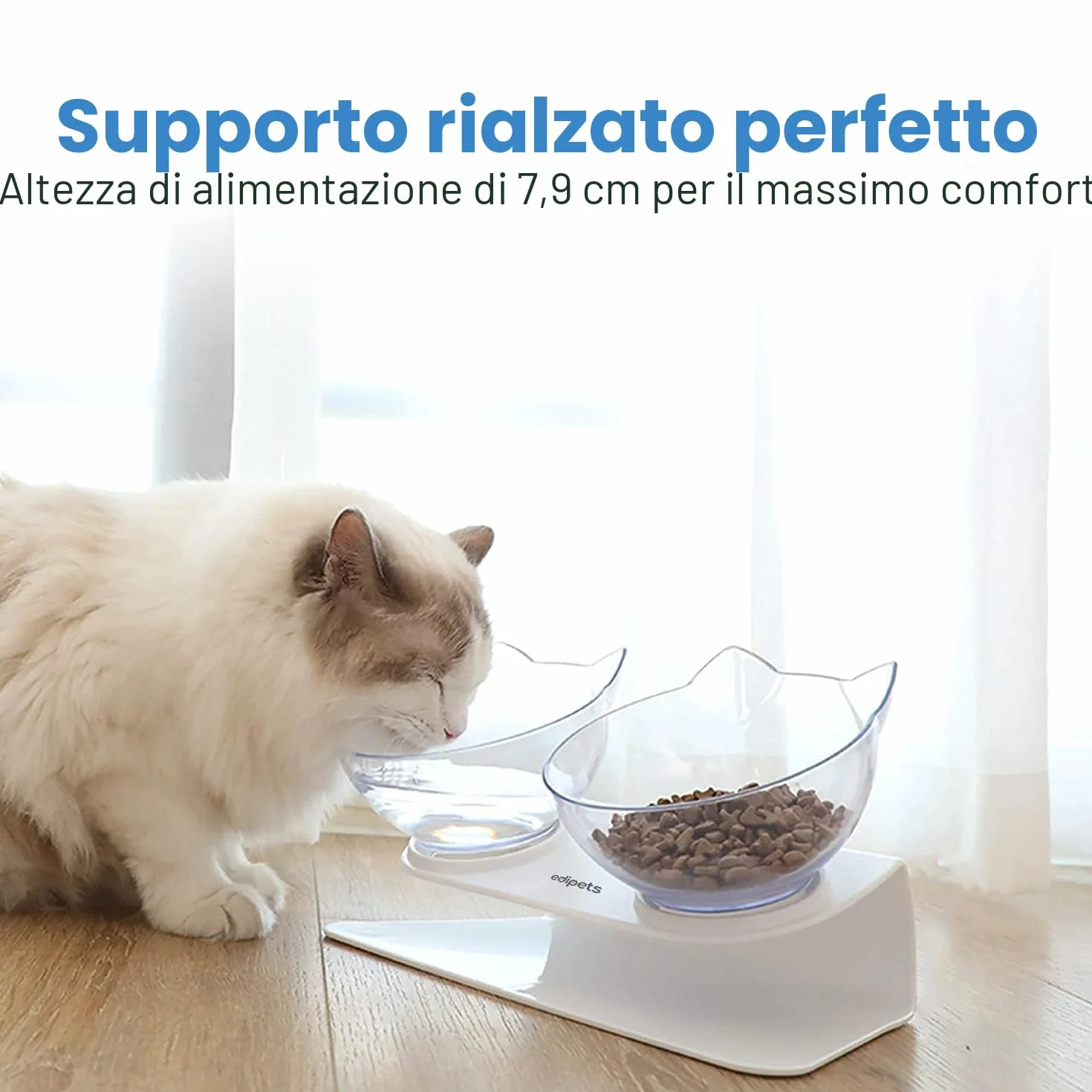 Edipets, Ciotole per Gatti Rialzate, Ciotola Gatto, Acqua e Cibo, Trasparente, Aiuta a Ridurre la Pressione sulle Vertebre (Trasparente)
