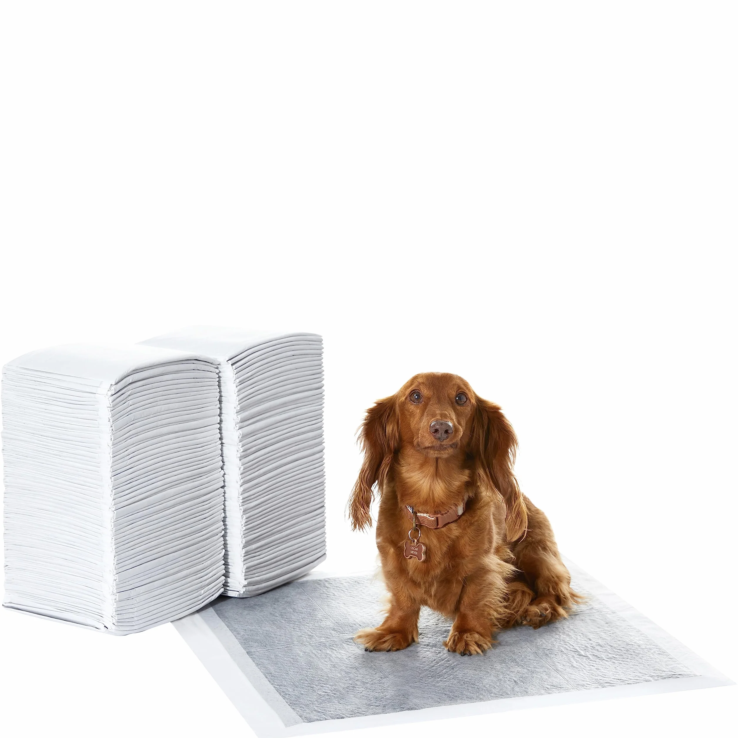 Amazon Basics Tappetini al carbone per cani, controllo odori, asciugatura rapida, 120 pezzi, grigio