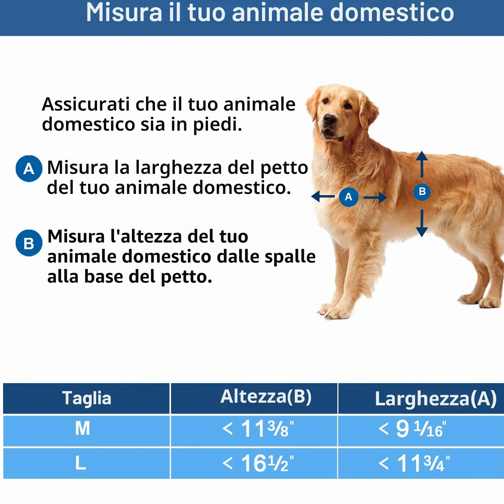 CEESC Porta per cani grande resistente alle intemperie fino a 45 kg con pannello di chiusura a scatto