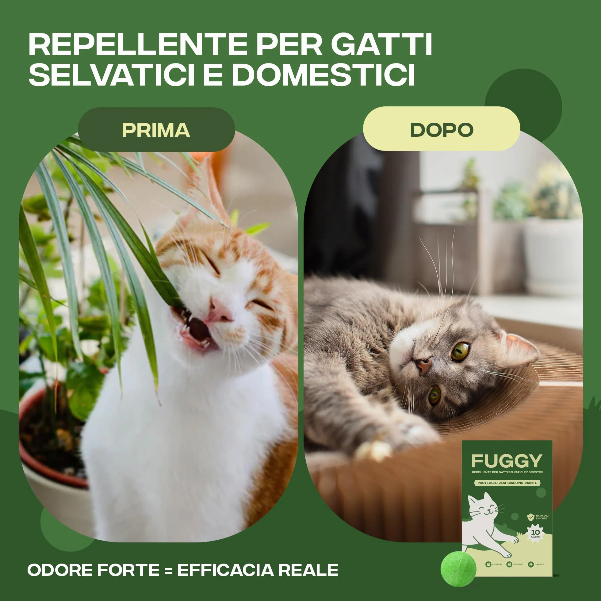 FUGGY - Repellente per Gatti Divano Naturale – Dissuasore e Disabituante Gatti per Interno ed Esterno – 12 Palline + 5 Buste – Anti Gatto Divano e Giardino