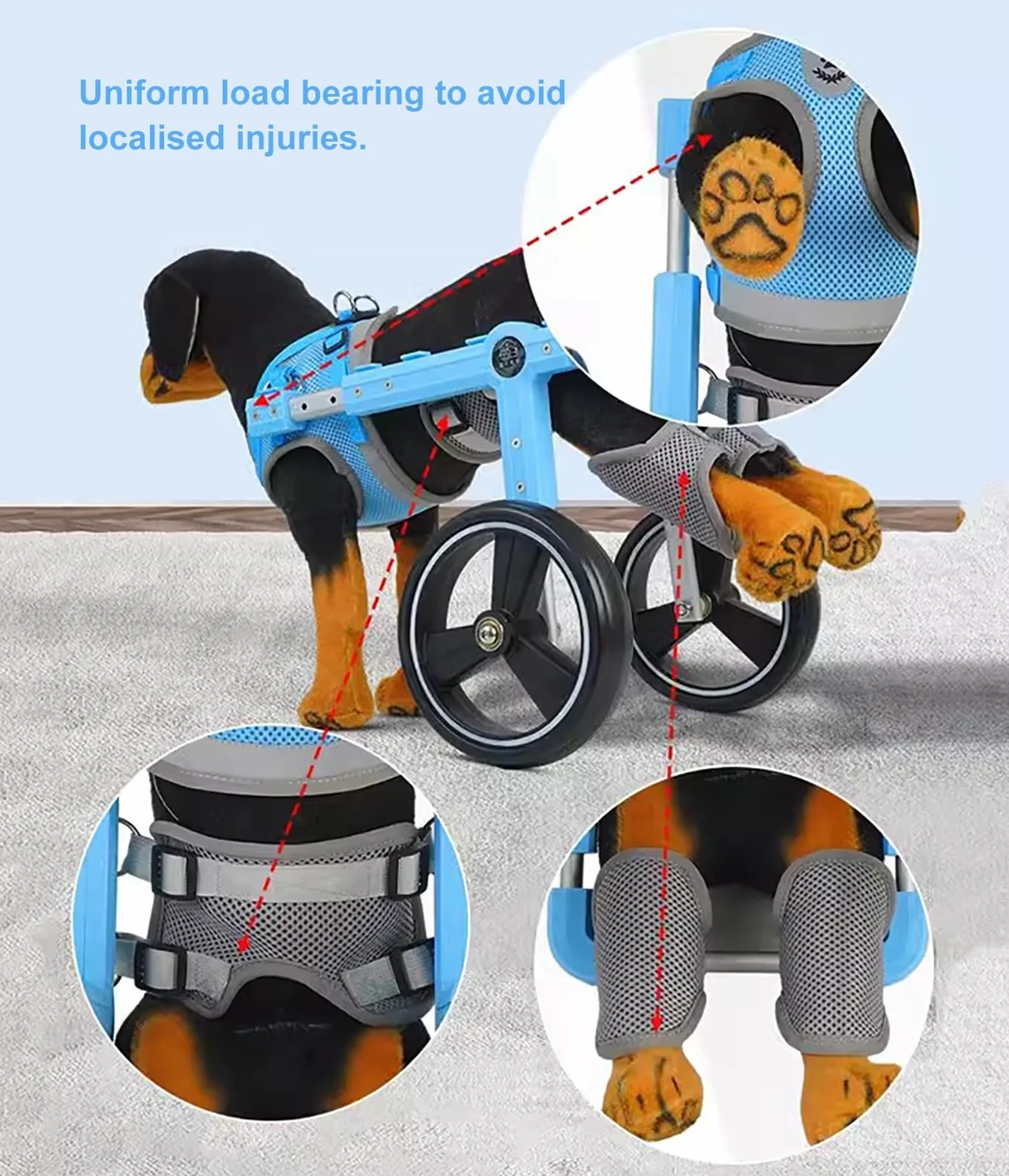 Carrello Cani Disabili Carrozzina per Cani a 2 Ruote per Zampe Posteriori, Ausilio Leggero per la Mobilità Dei Cani per Zampe Posteriori, Carrello di Supporto per L'addestramento Alla Riabilitazione(S