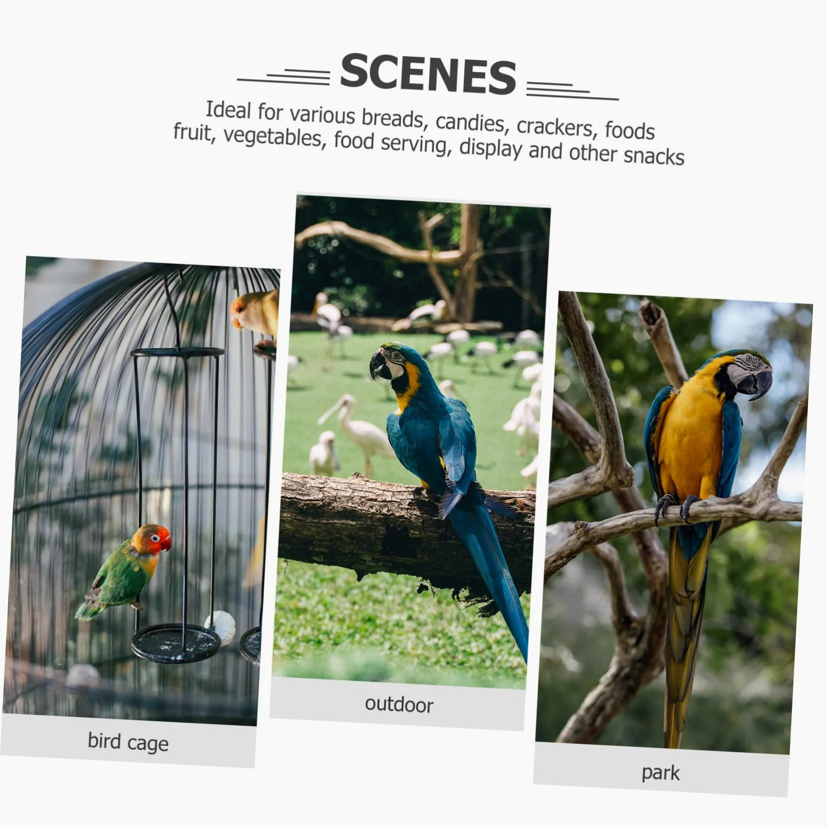 Angoily Giocattolo Per Uccelli Per Pappagalli e Parrocchetti Accessorio Per Esercizio e Riposo Giocattolo Da Masticare Per Uccelli Design Multiuso Per Pet Bird e Macaw