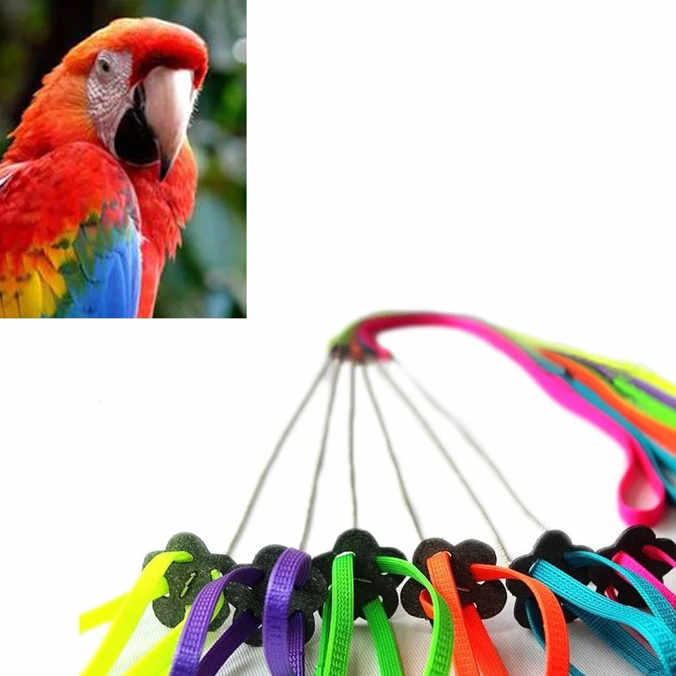 Uccelli Pettorina e Guinzaglio Regolabile Anti-Morso Multicolore