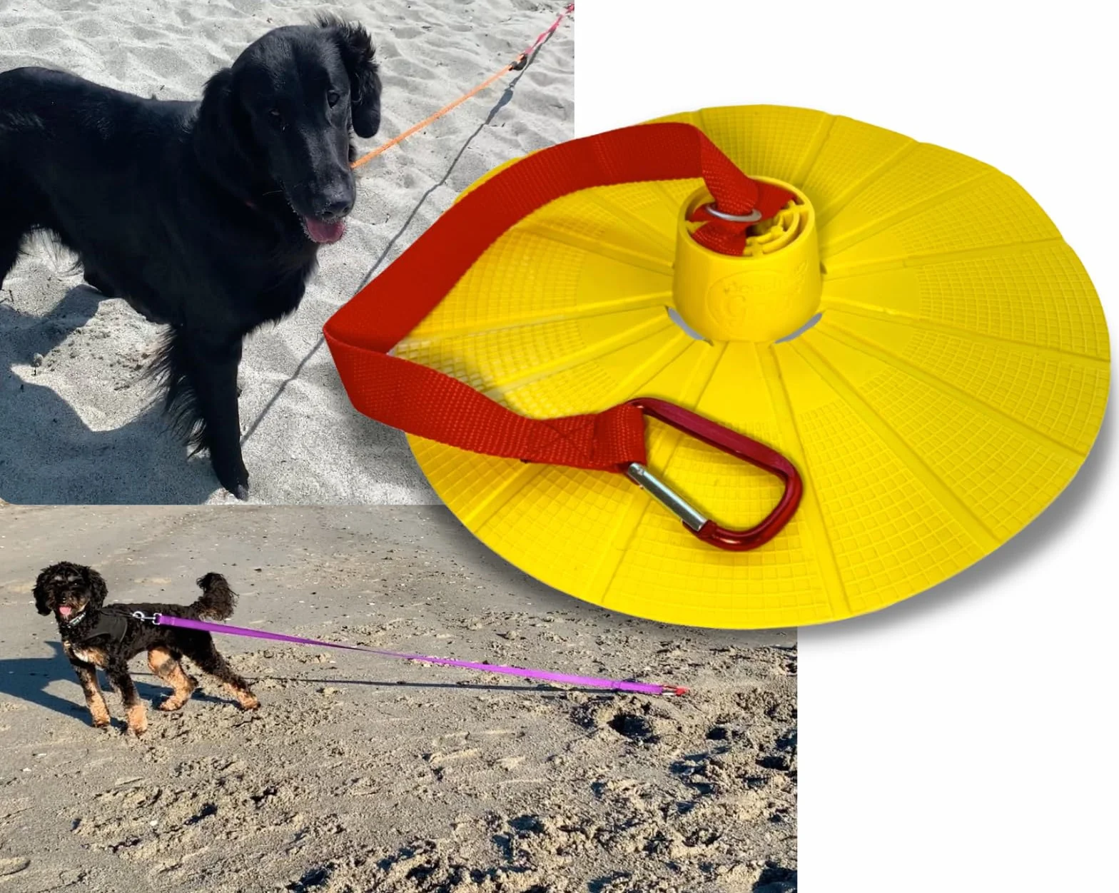 BeachGrip Ancoraggio per cani da spiaggia, progettato per funzionare nella sabbia, piccolo, leggero, facile da usare e durevole, l'accessorio per portare il vostro amico a quattro zampe in spiaggia