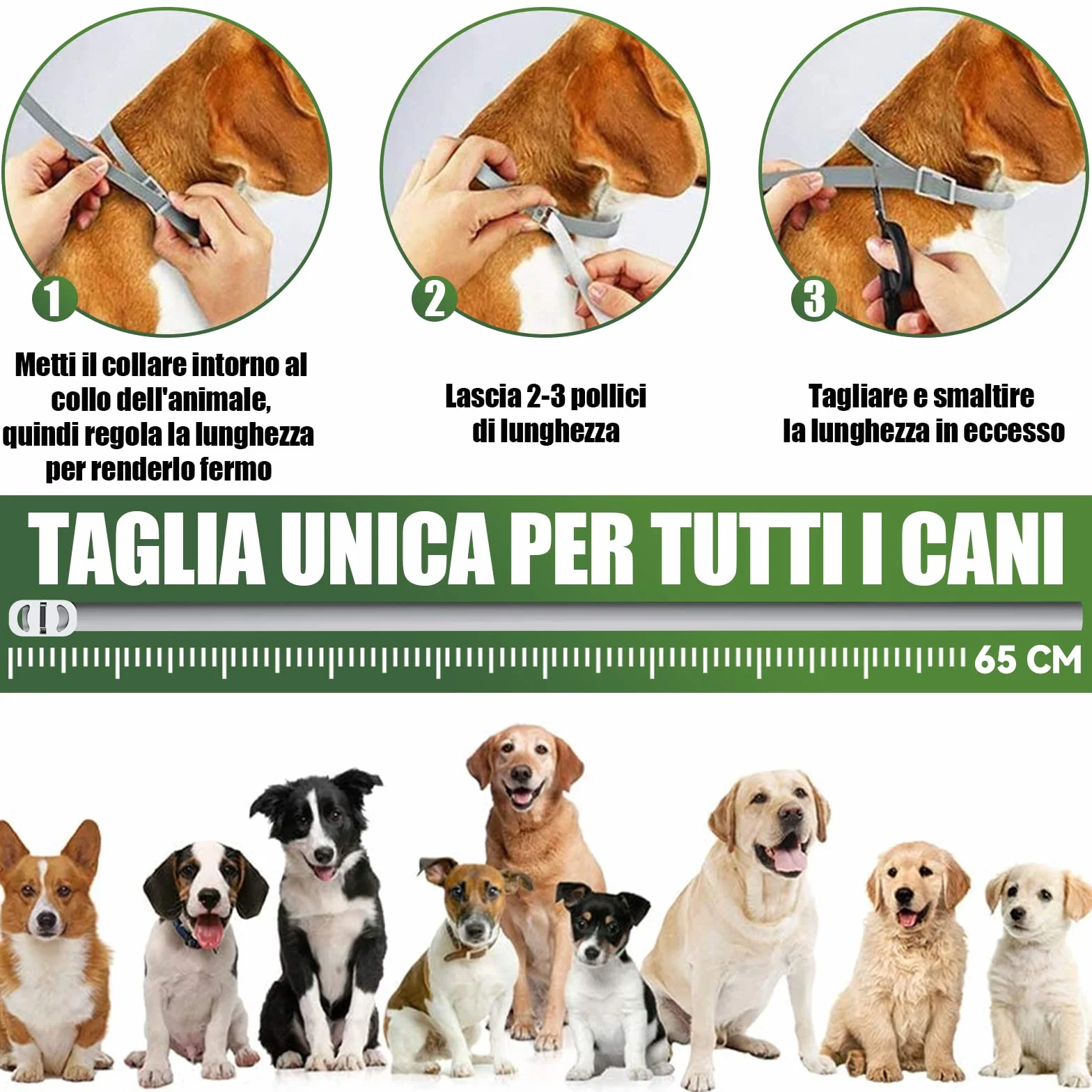 Collare Antipulci e Zecche Regolabile Impermeabile 63cm per Cani 8 Mesi Protezione