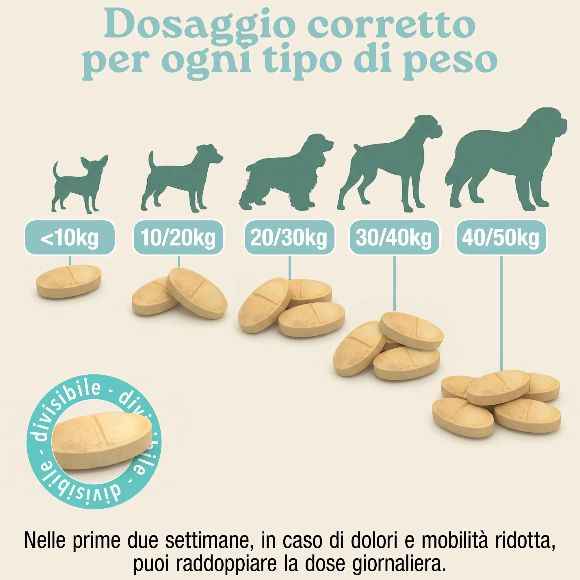 MyPetPrime Articolazioni Cane Mangime Complementare 125 Compresse | Nuova Formula JointSupport con MSM, Polvere di Cozza Verde, Glucosamina, Condroitina e Artiglio del Diavolo