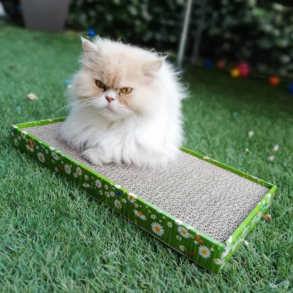 Croci -Tiragraffi per gatti in cartone, 2 strati riversibili, con piedini antiscivolo, inclusa busta di erba gatta, stile Fiori, 48x25x5 cm