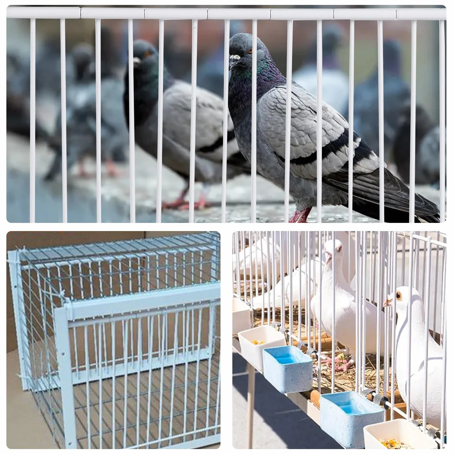 T-Trap - Porta d'ingresso per animali domestici, usa e getta, per piccione da corsa, piccione, porta d'ingresso in ferro, pappagallo, accessorio per l'allevamento di uccelli, 33 x 26 cm