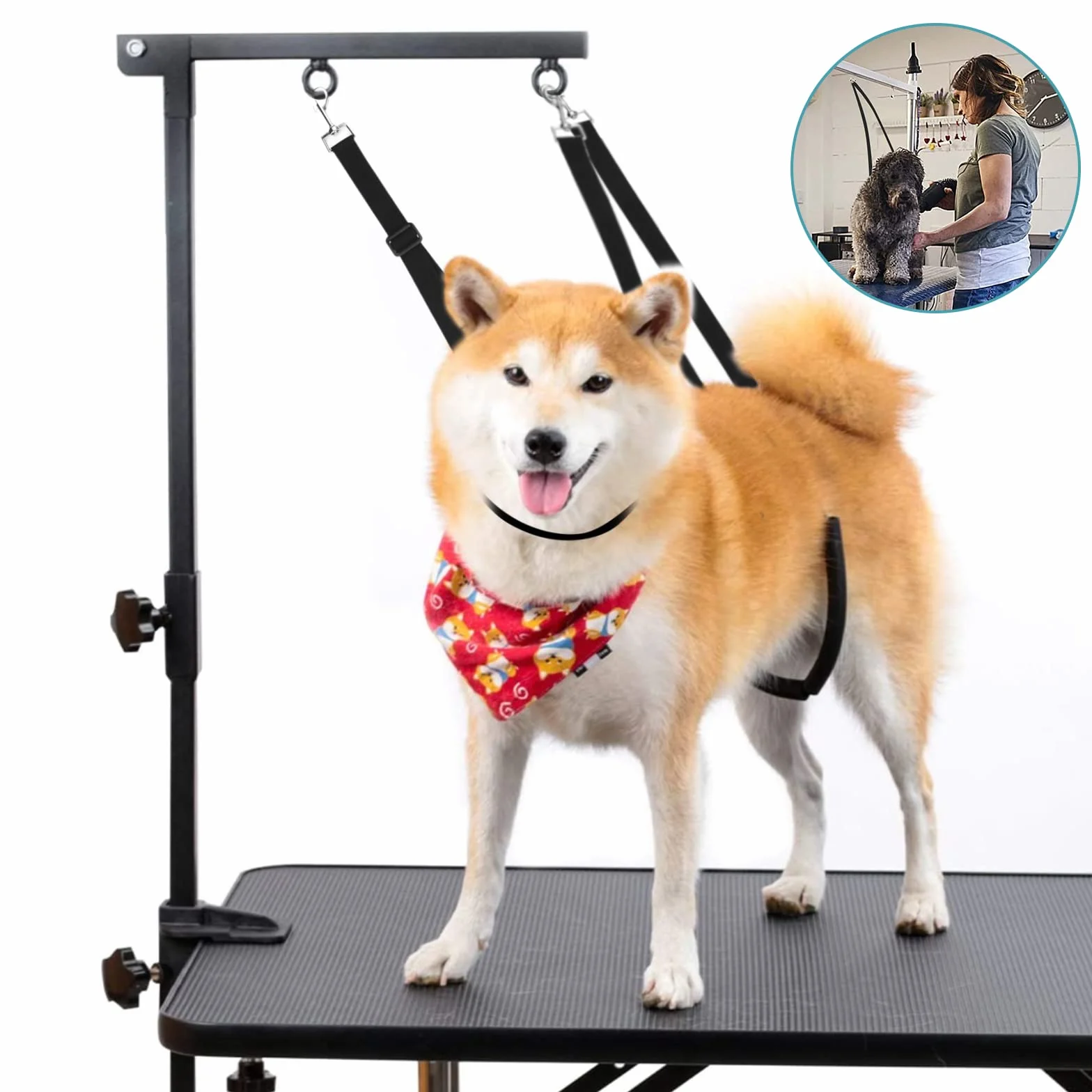 3 Pezzi Toelettatura del Cane Cinghia per la Pancia,Cappio Dell'animale Domestico, Cappio per Cani Toelettatura, Cintura di Trazione Regolabile per Cuccioli Gattini Piccoli Medi Gatti Cani Taglio