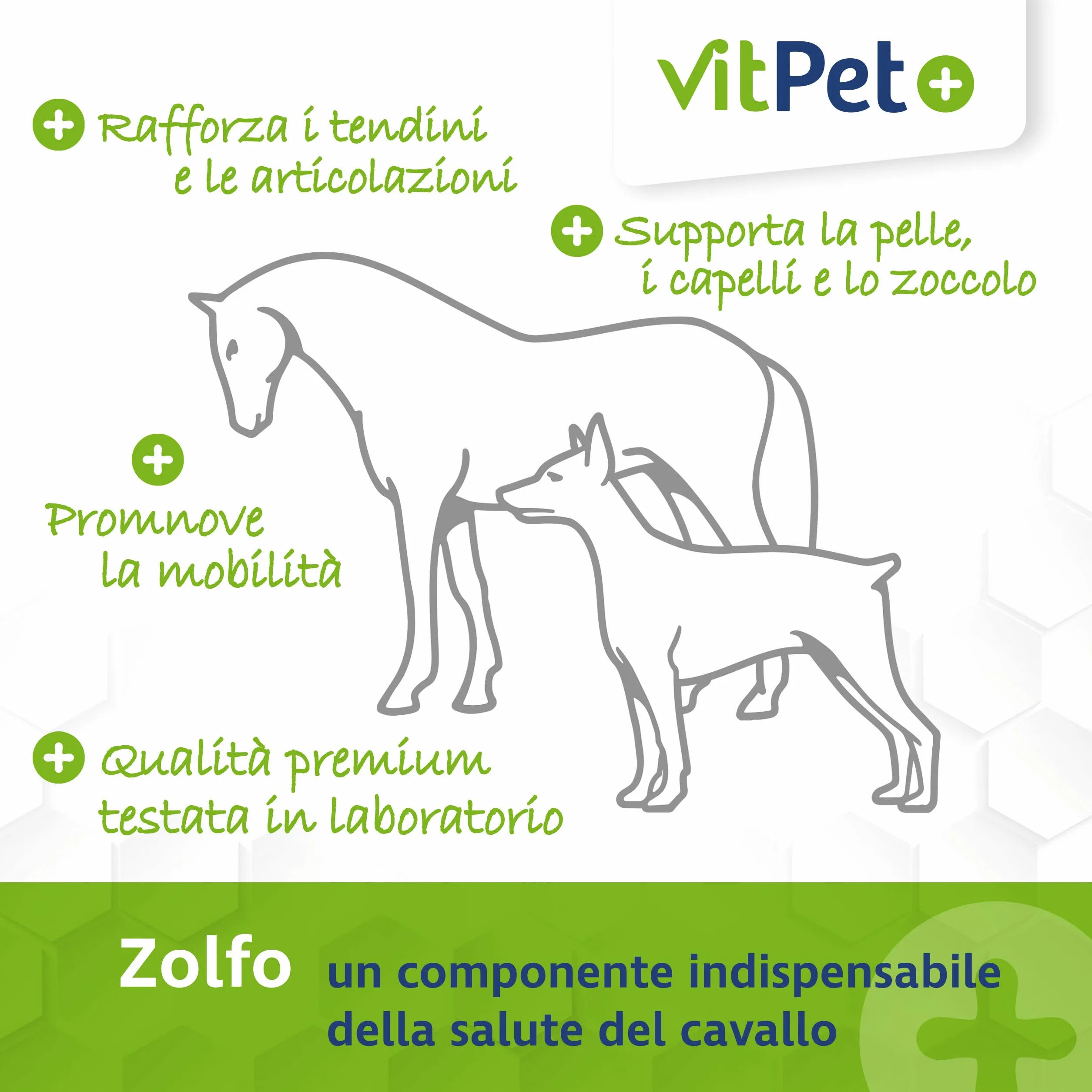 MSM polvere per cavalli Metilsulfonilmetano 1,8 kg