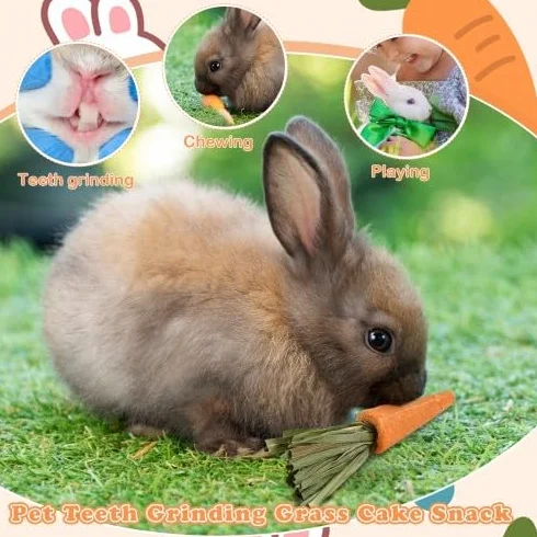 Crocchette da masticare per conigli - Biscotti all'erba alfalfa e carota per piccoli animali domestici - Snack di fieno di fleolo per conigli, porcellini d'India e criceti - Giocattoli da mas