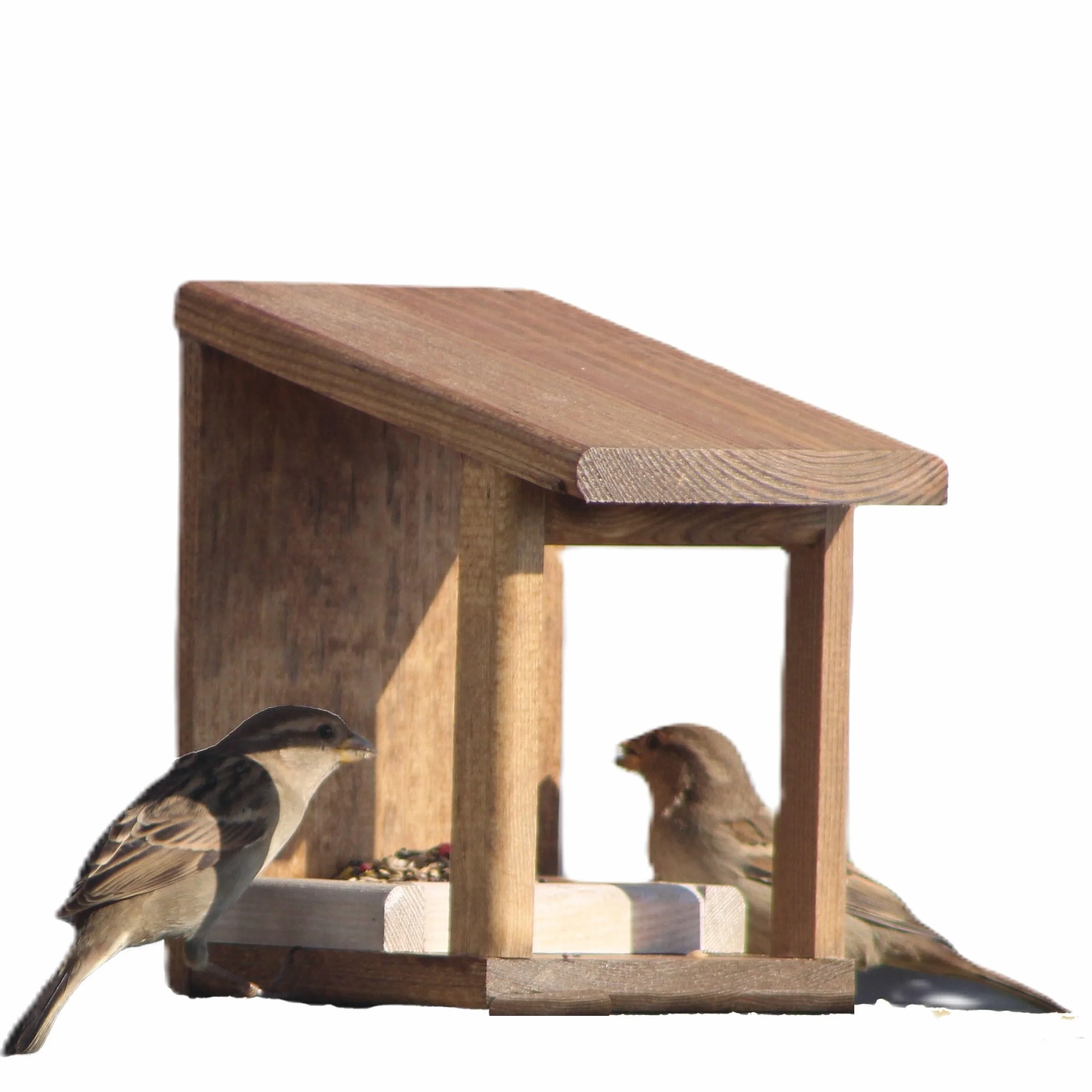 Mangiatoie per uccelli wengue