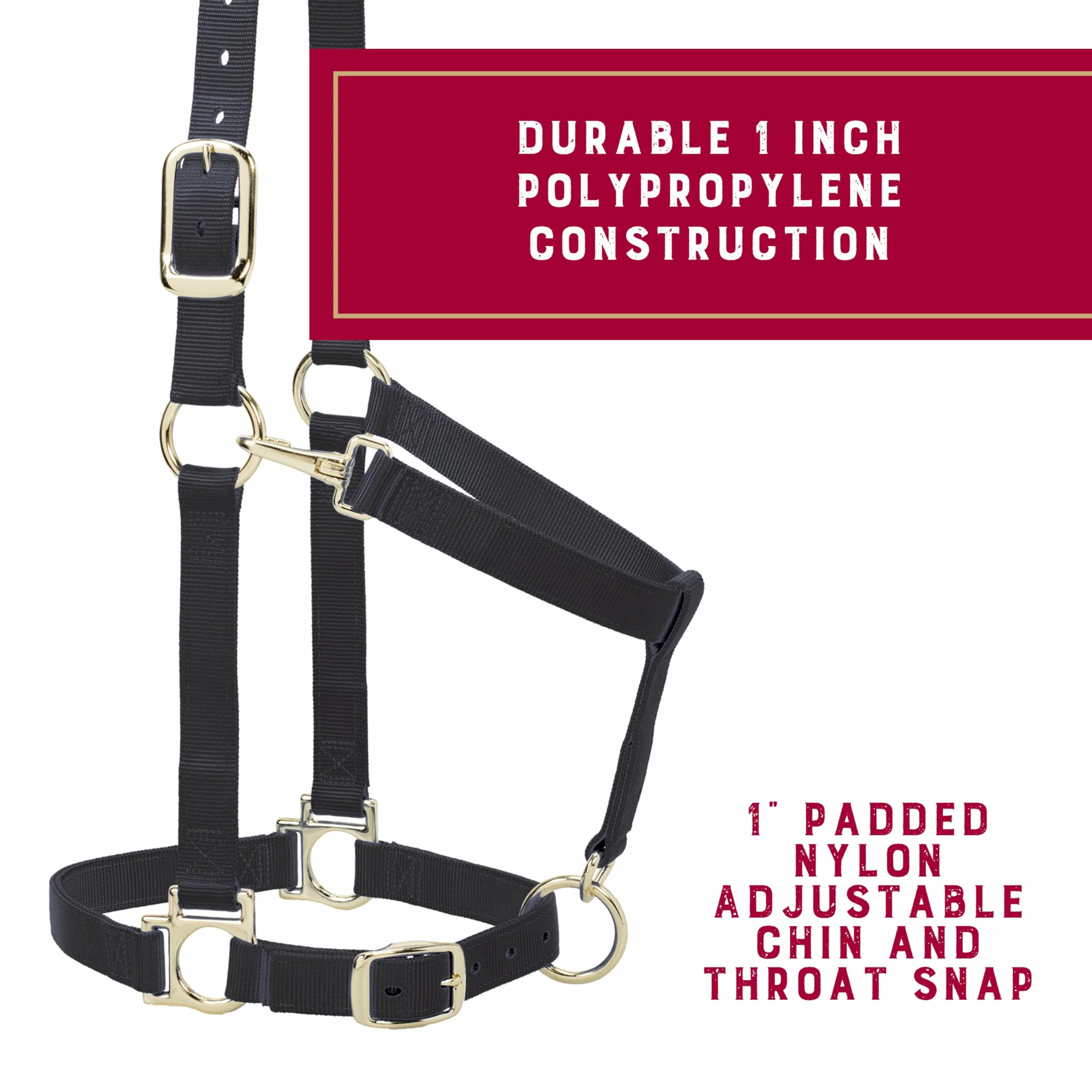 Weaver Leather, Cavezza in nylon per cavalli, imbottita e regolabile, con moschettone per mento e gola e parti metalliche placcate ottone, adatta per addestramento
