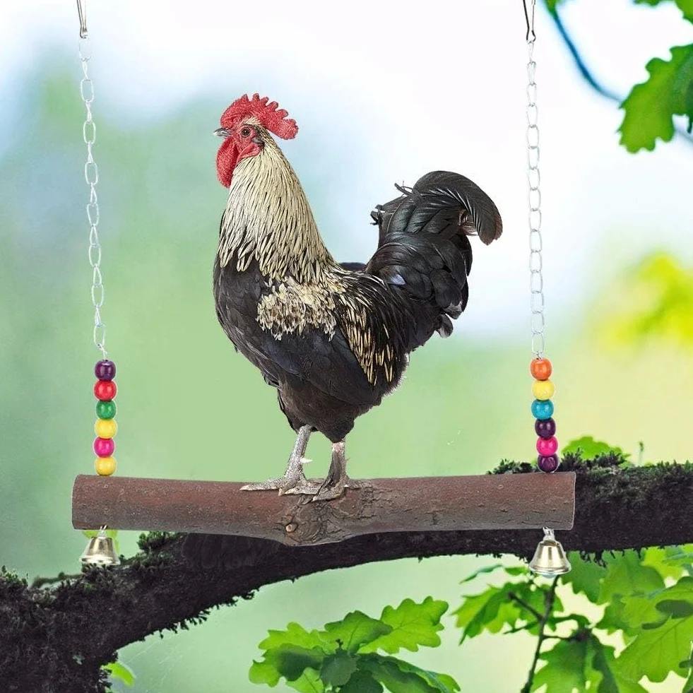 Altalena di Pollo Giocattoli Mordaci con Blocchi di Legno e Campana per Pappagalli Medi e Grandi