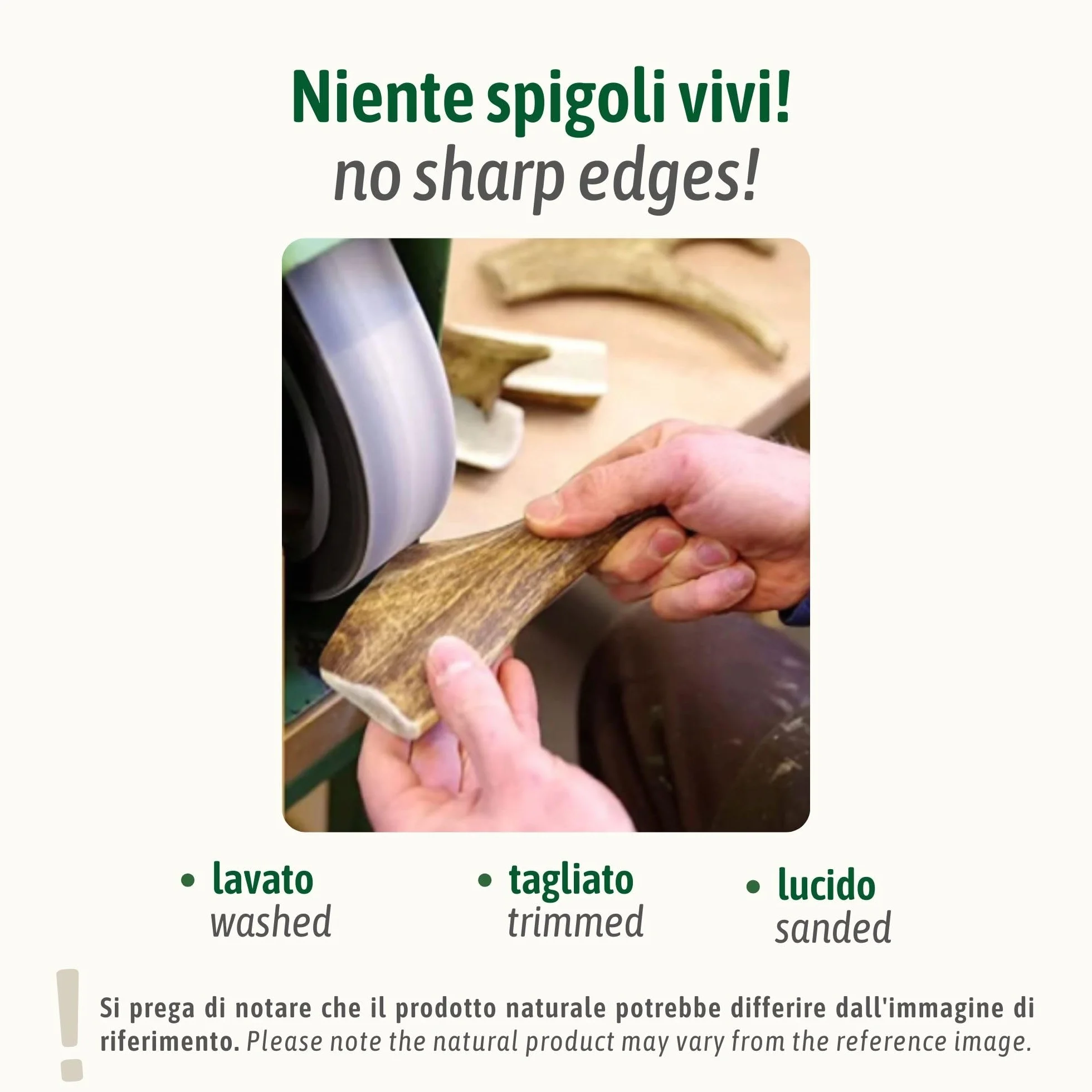 ChronoBalance-XXL Corno di Cervo per Cani, Confezione da 2, Dimezzato, 100% Naturale, Osso di Cervo, Cura Dentale, Giocattolo per Cani, Senza Sostanze Chimiche, Lunga Durata