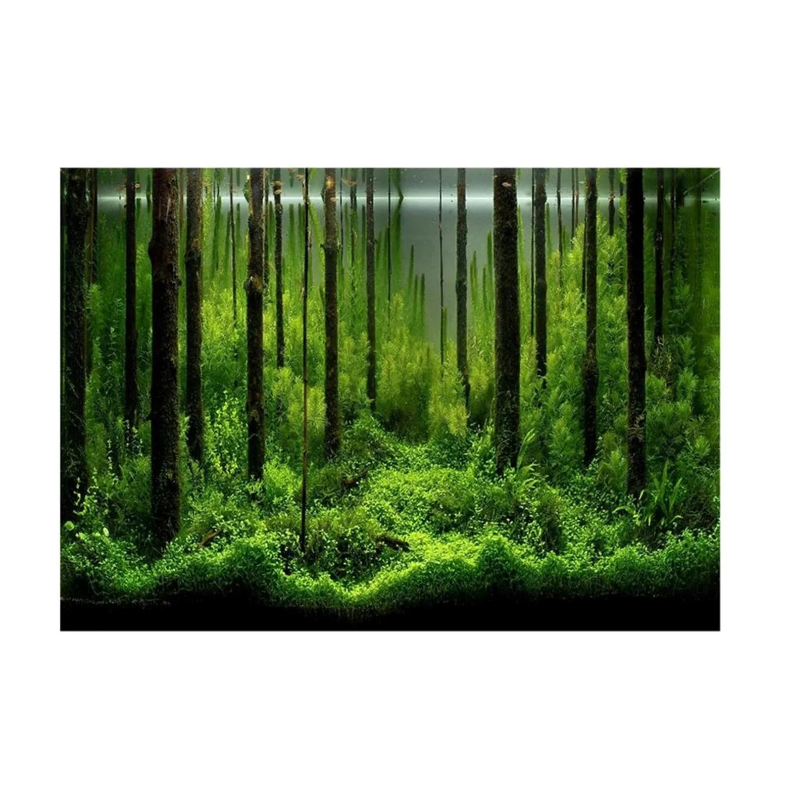 Acquario Sfondo Adesivo 3D Fronte-Retro for Acquario Paesaggio Poster Acquario Oceano Piante Marine Sfondo Adesivo Decorazione Accessori for acquari(122x46cm)