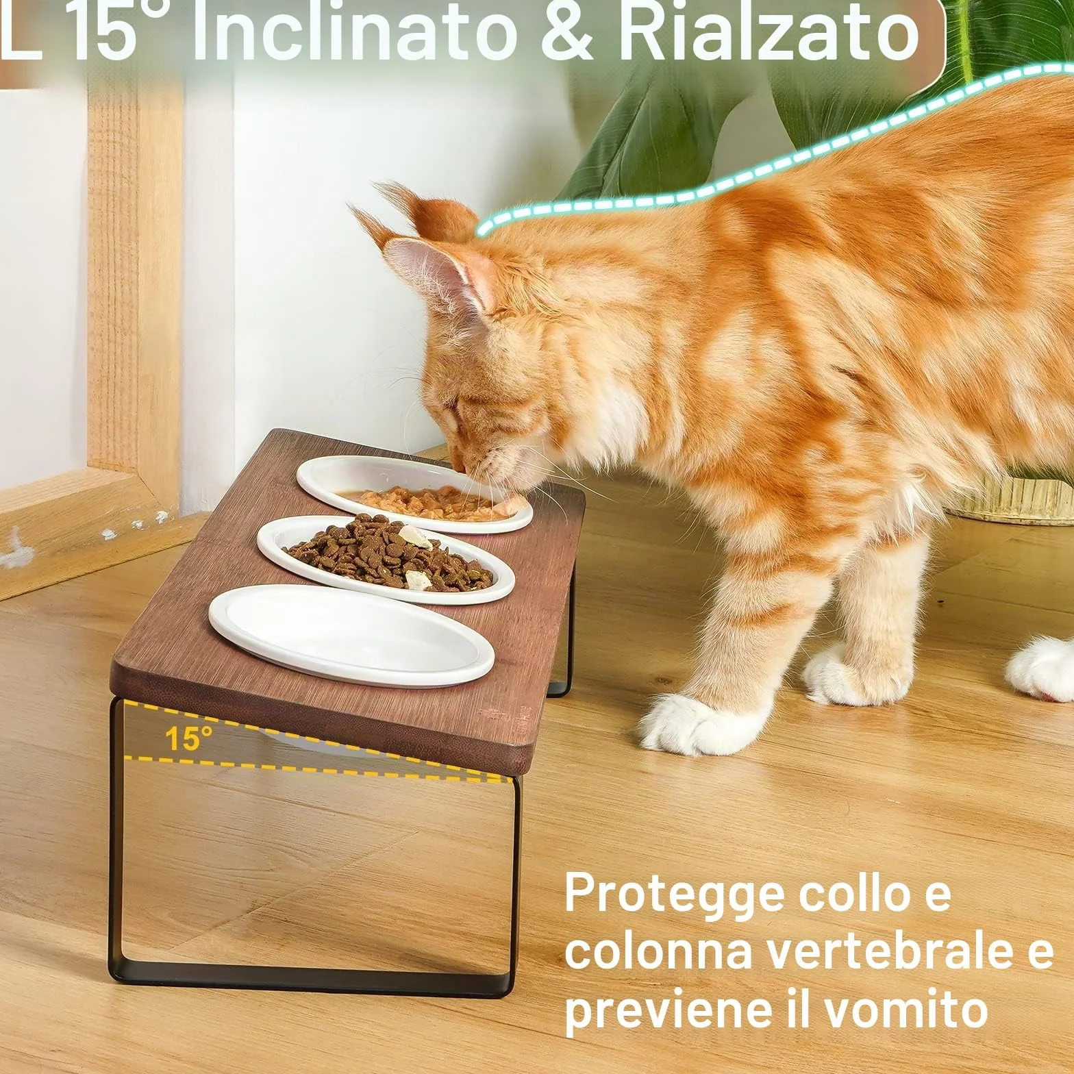 GUUSII HOME Ciotole per Gatti Rialzate 3 in 1 Ciotola Gatto Legno Ceramica 15° Inclinate Set di 3 Ciotole per Alimenti Ø12cm con Supporto in Bambù Inclinato Antiribaltamento