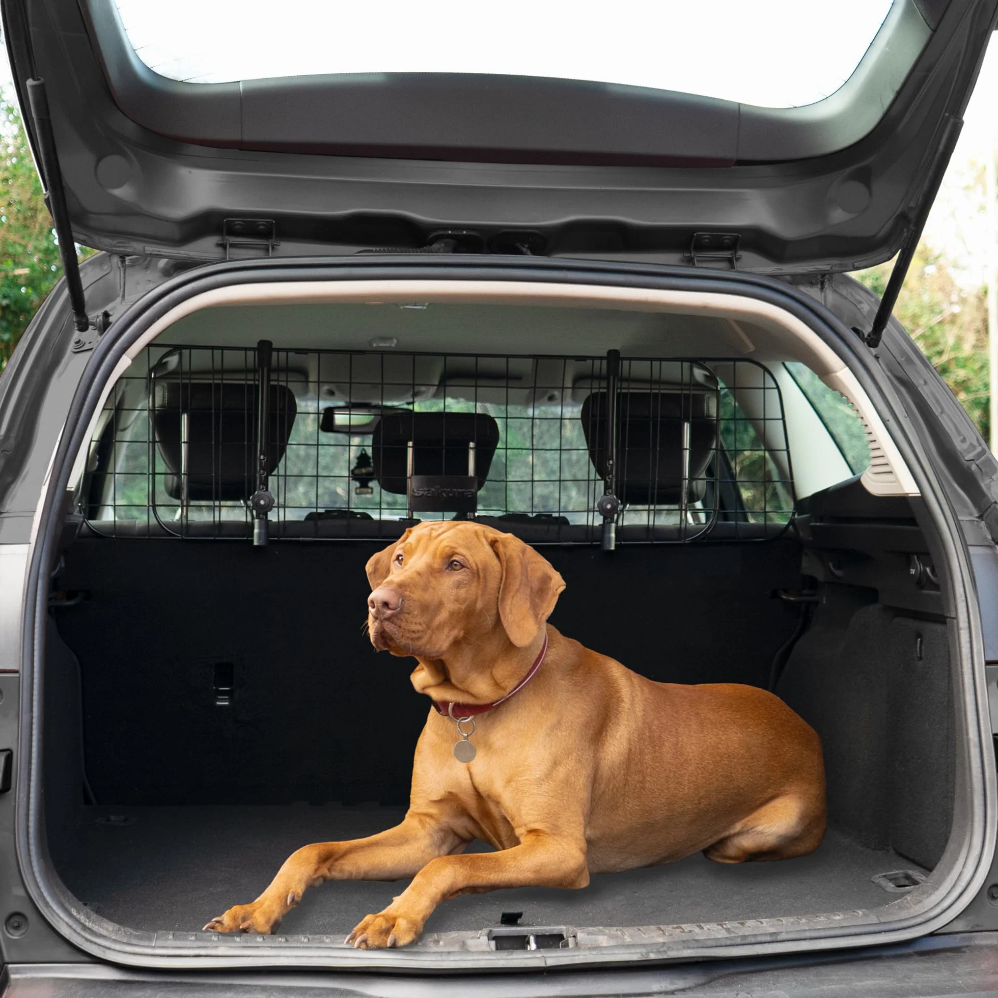 Sakura SS5259 Divisorio per Cani da Auto per Poggiatesta, Larghezza Regolabile, Facile Montaggio