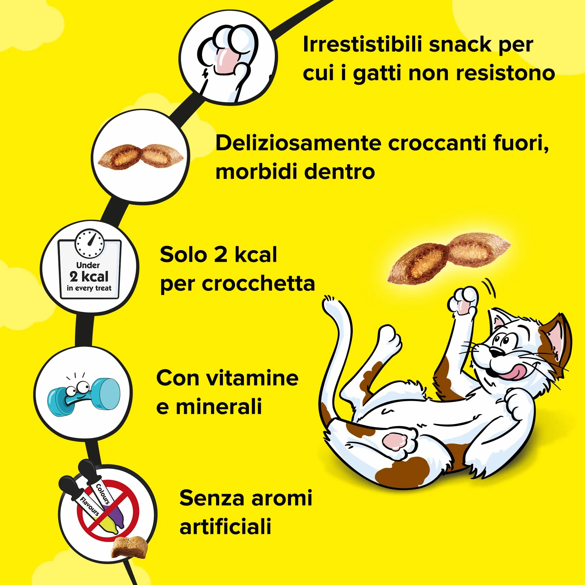 Catisfactions, Snack per Gatto, con Irresistibile Erba Gatta, 6 Confezioni da 60g, Verde, 60 g (Confezione da 6)