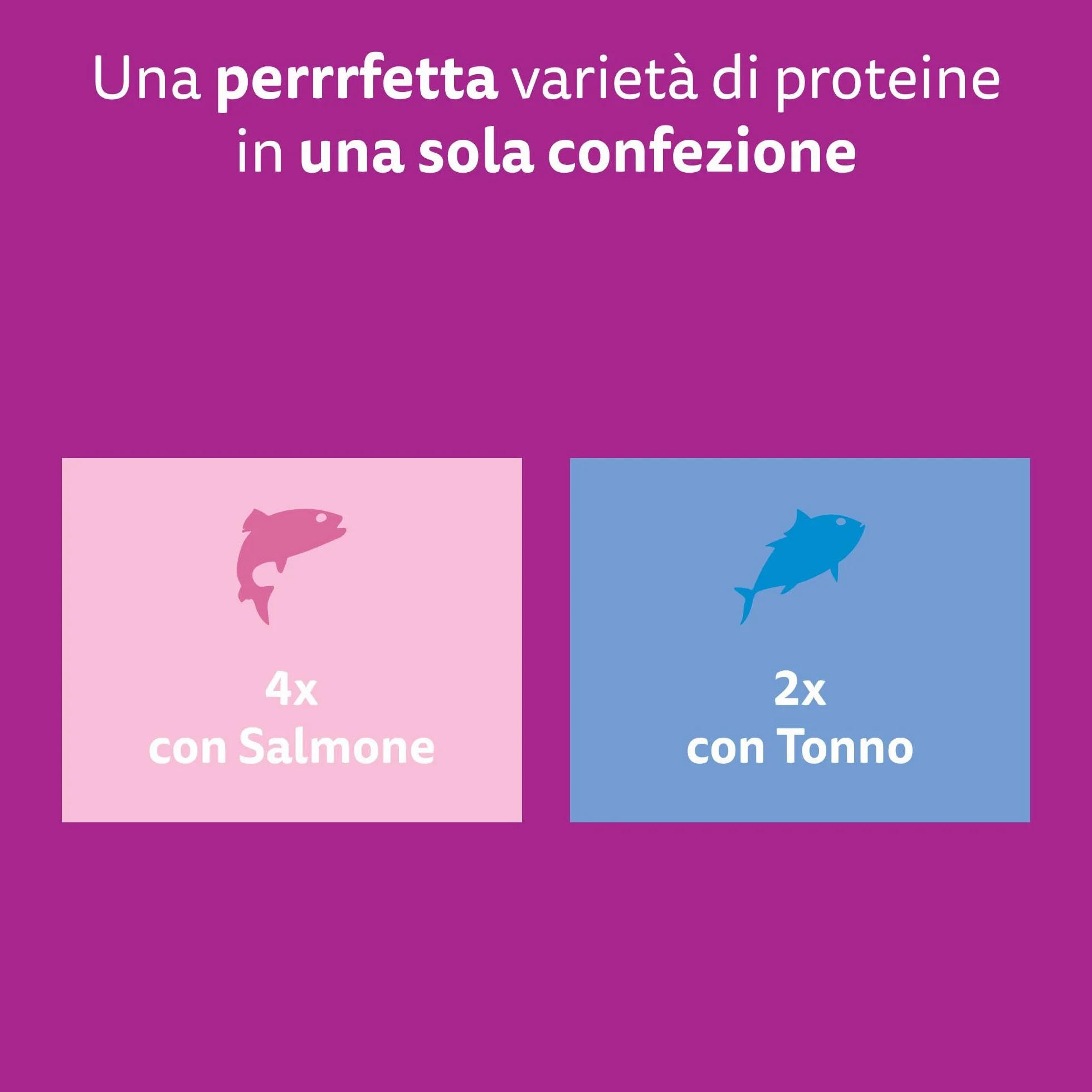 Whiskas Pranzetti Selezione di Pesce 1+ Adulto, Cibo Umido per Gatto, 12 Confezioni ognuna da 6 bustine x 50g (72 Pezzi in Totale)