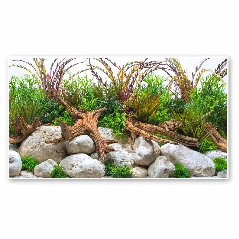 Amtra Sfondo Doppio River - Sfondo Poster per Acquario, Decorazione a Doppia Stampa HD, Double Face, Impermeabile, Formato 30x60 cm