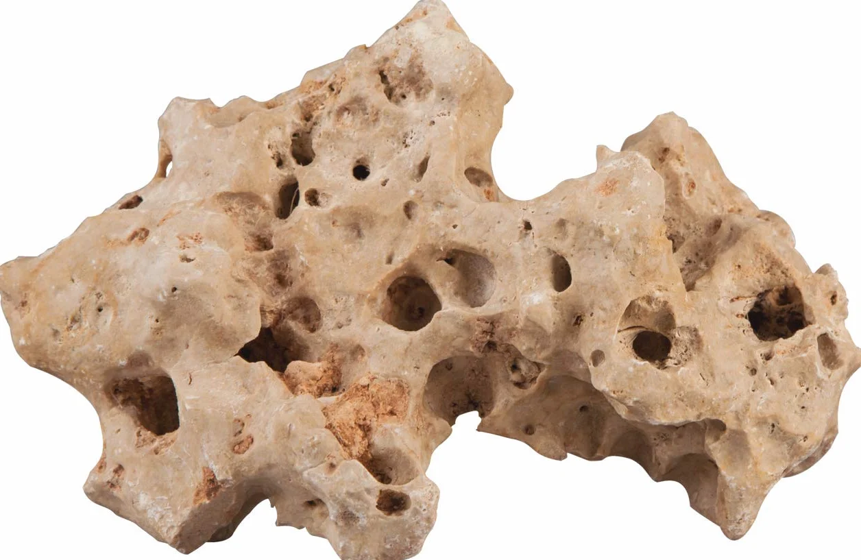 Sera Rock Hole Stone L 2 – 3 kg – Pietra Forata Beige con Superficie Liscia