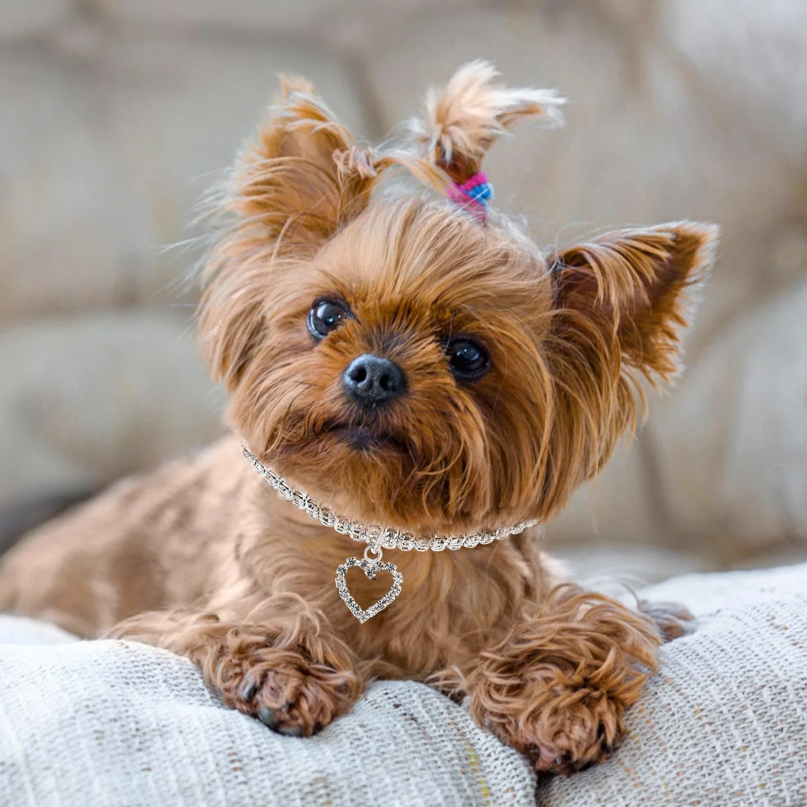 Collare per Cani Cuccioli con Pietre Decorative Elastiche Bianche con Ciondolo a Forma di Cuore
