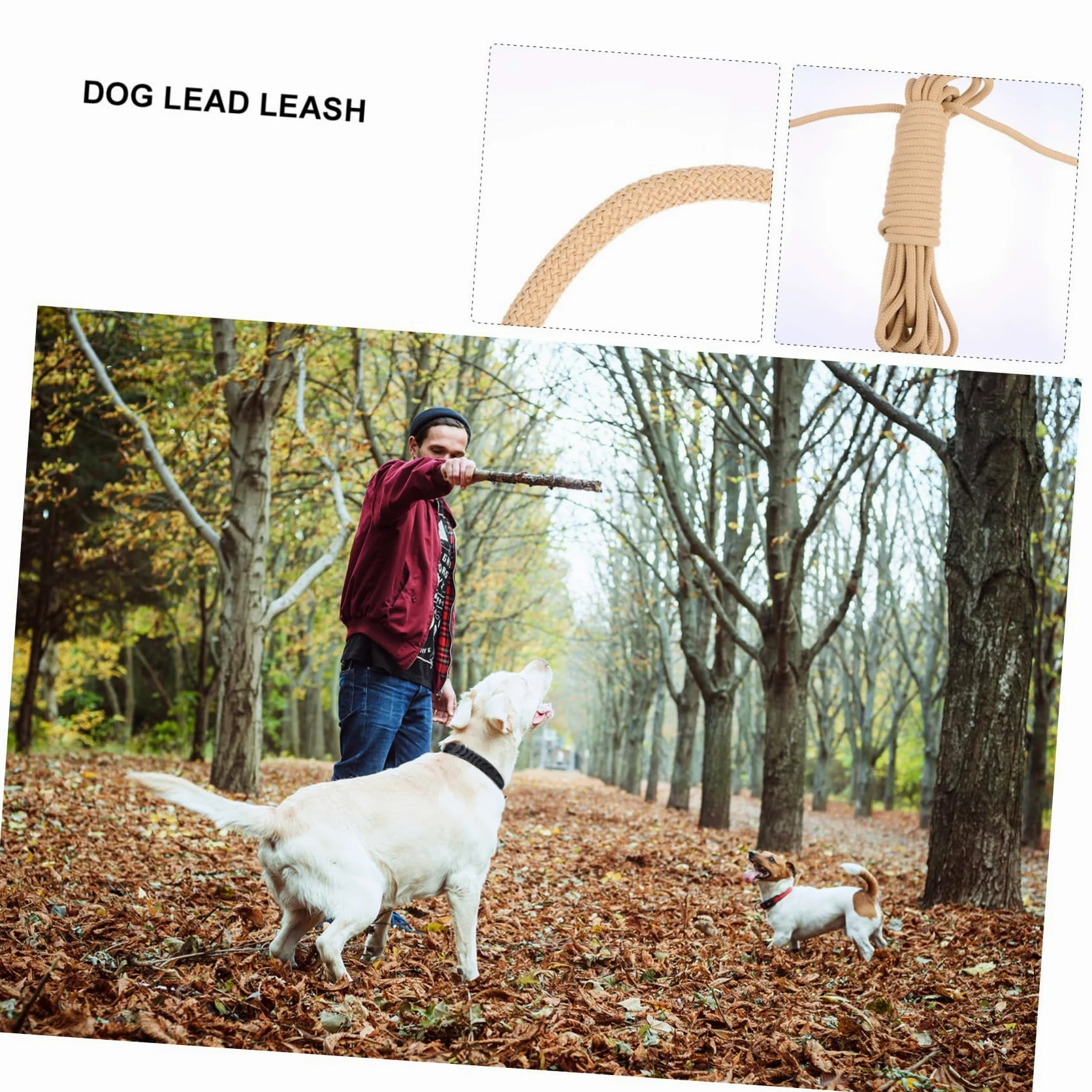Guinzaglio per Cani lungo Addestramento Outdoor, 10 M | Gancio, Polipropilene Khaki, Resistente ai Morsi e Ammortizzante, per Corsa e Camminata