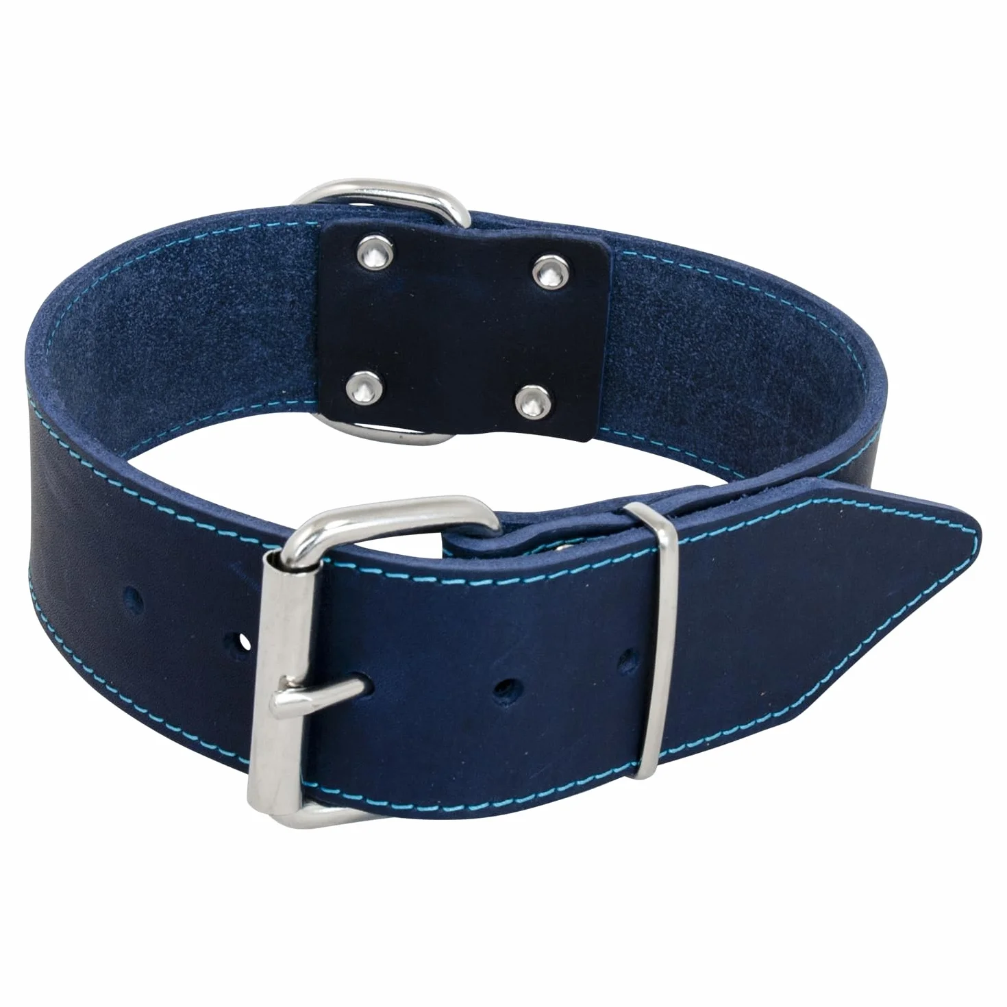 Elegante Collana in Pelle grassa per Cani 50 mm 65 cm Blu Regolabile